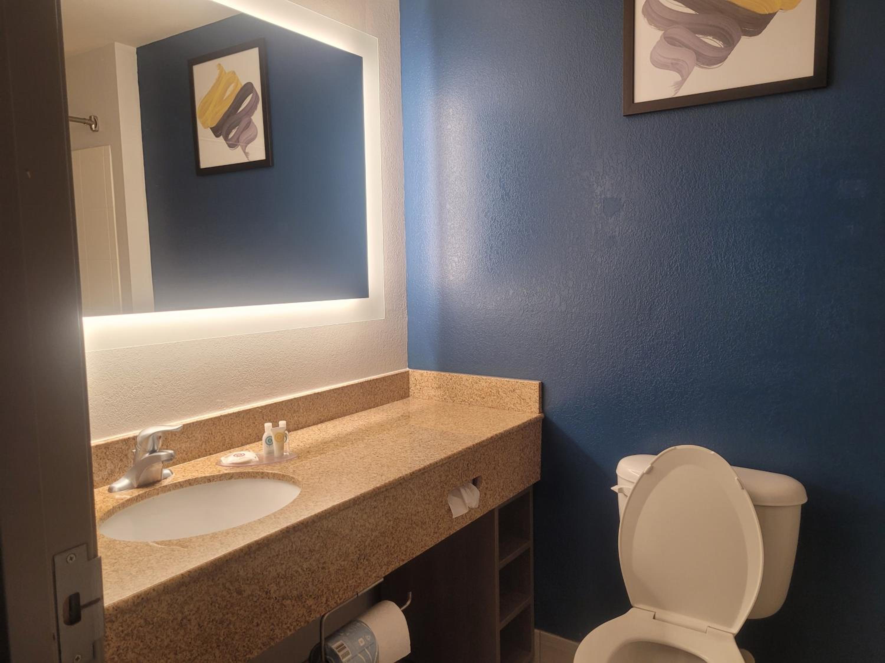 King Room - Non-Smoking - Photo 4