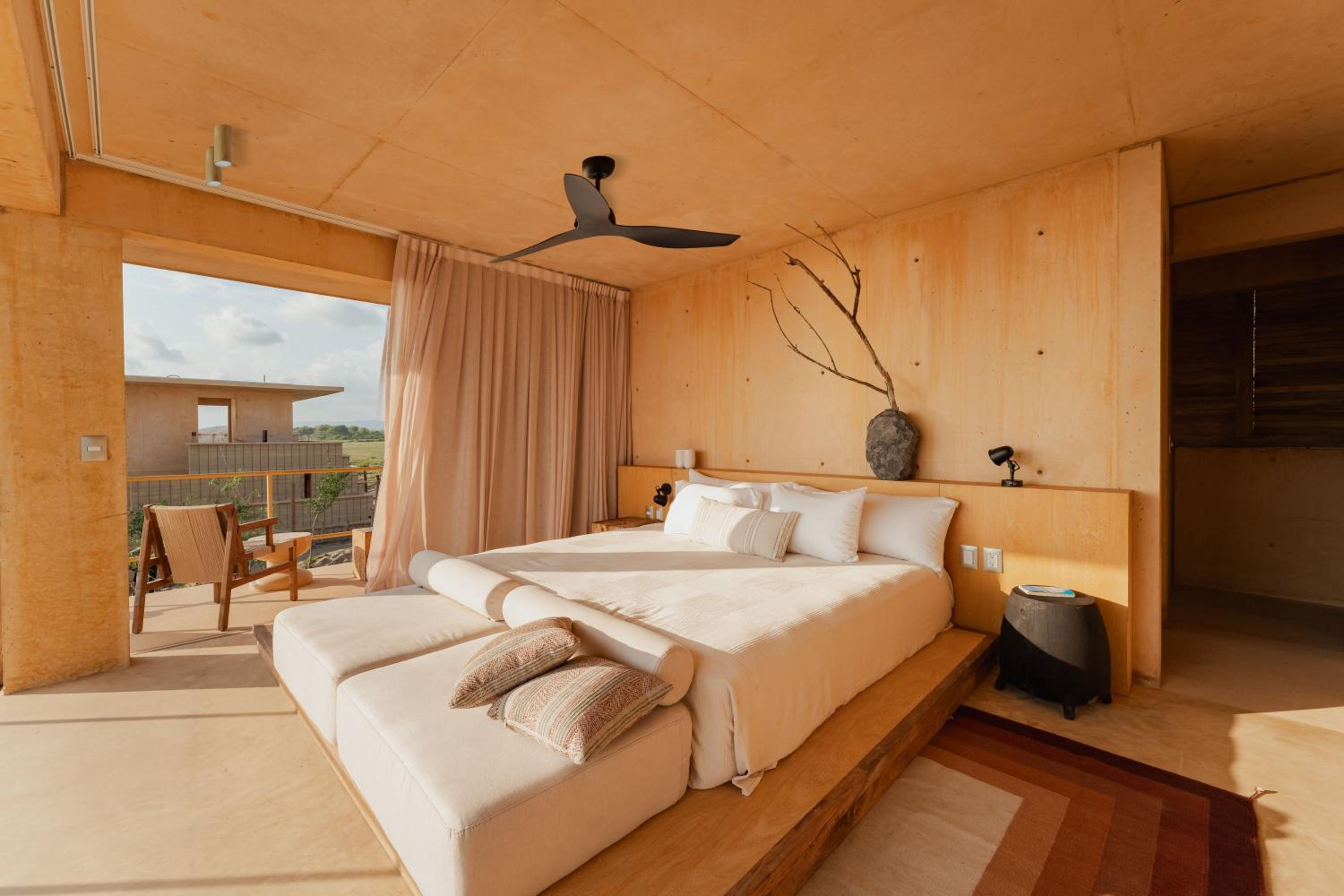 Suite Junior con Terraza