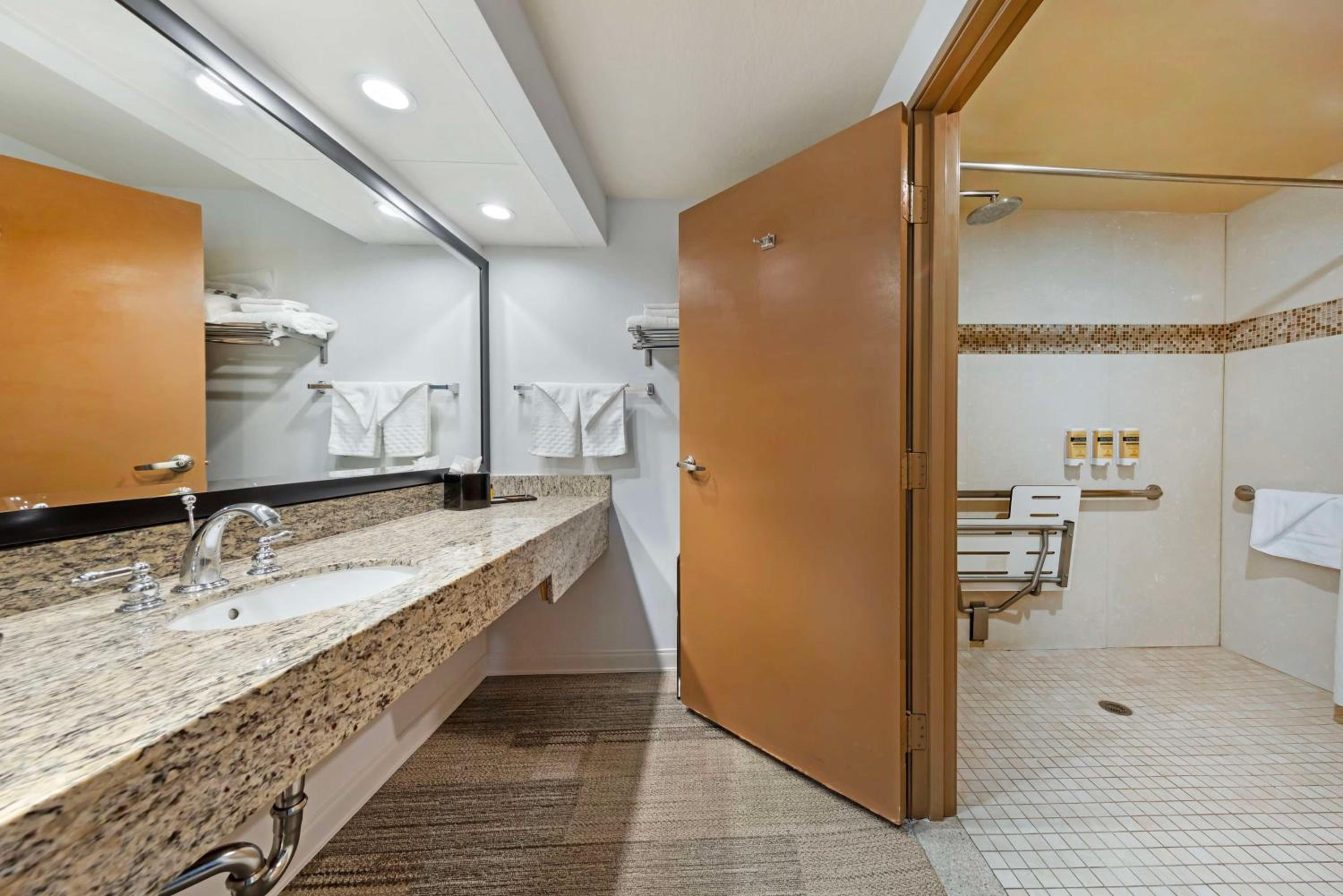 King Room with Roll-In Shower - Mobility Accessible - Photo 4