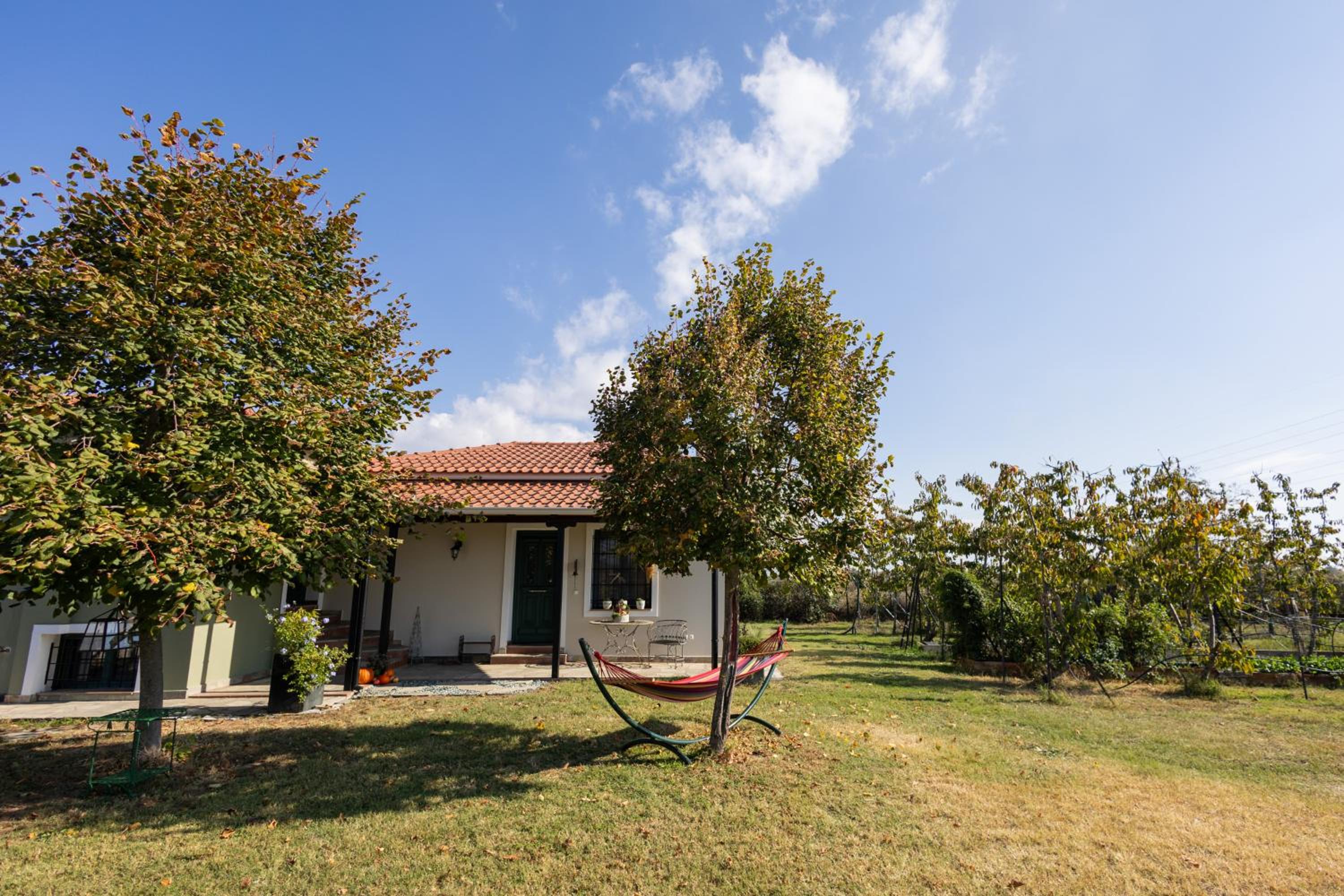 One-Bedroom House photo 3