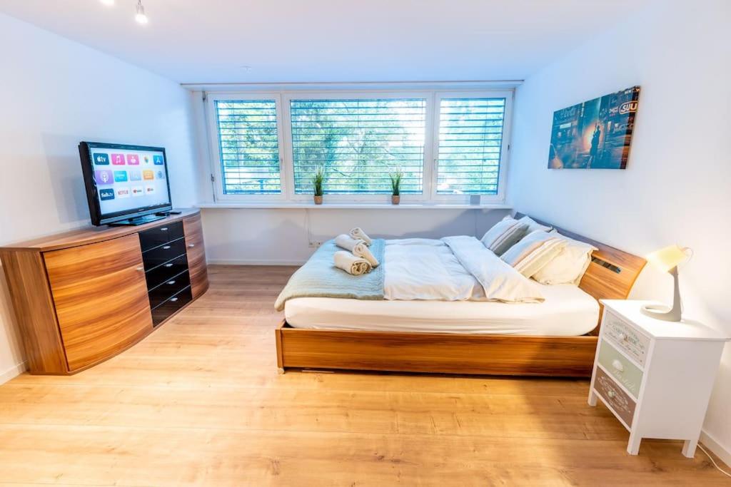 One-Bedroom Apartment photo 2