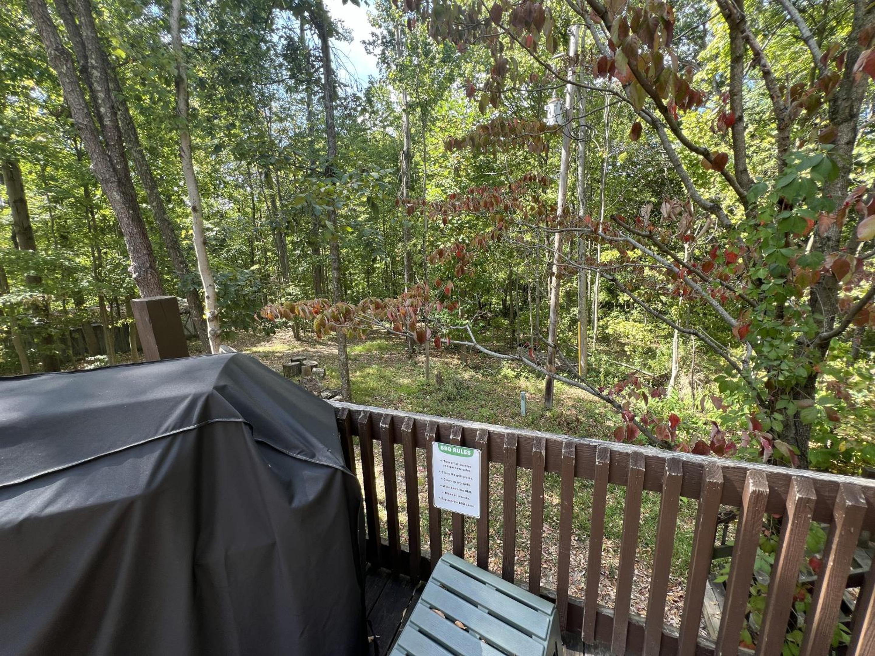 Vacation Home photo 2