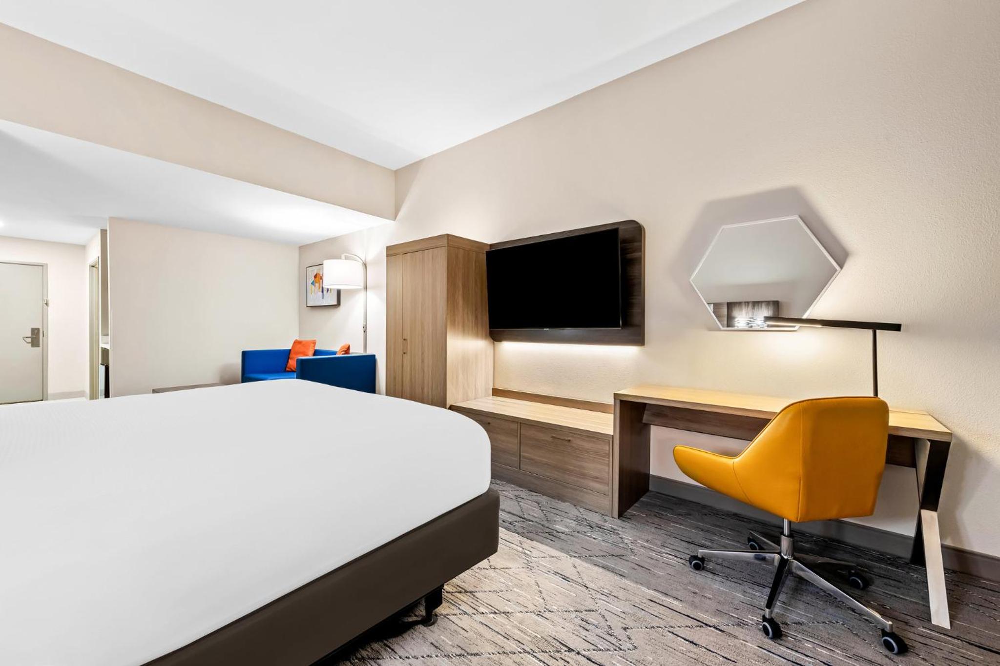 One-Bedroom Suite - Photo 7