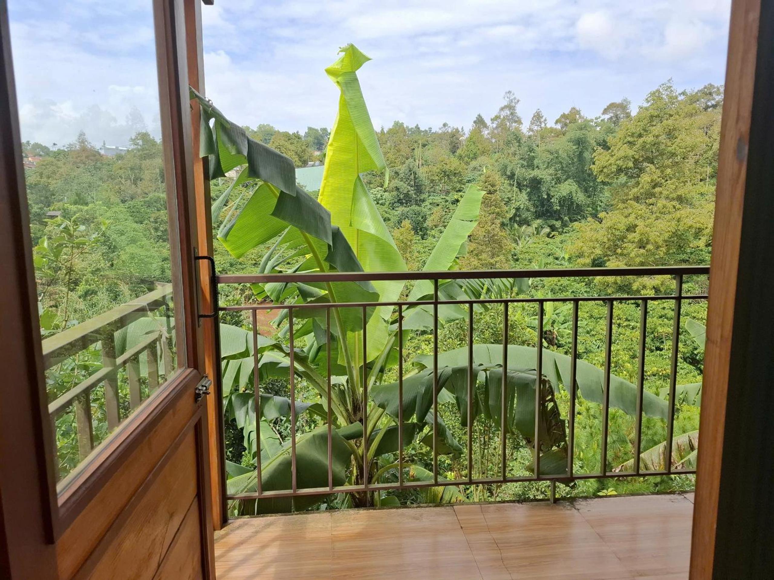Family Bungalow photo 3