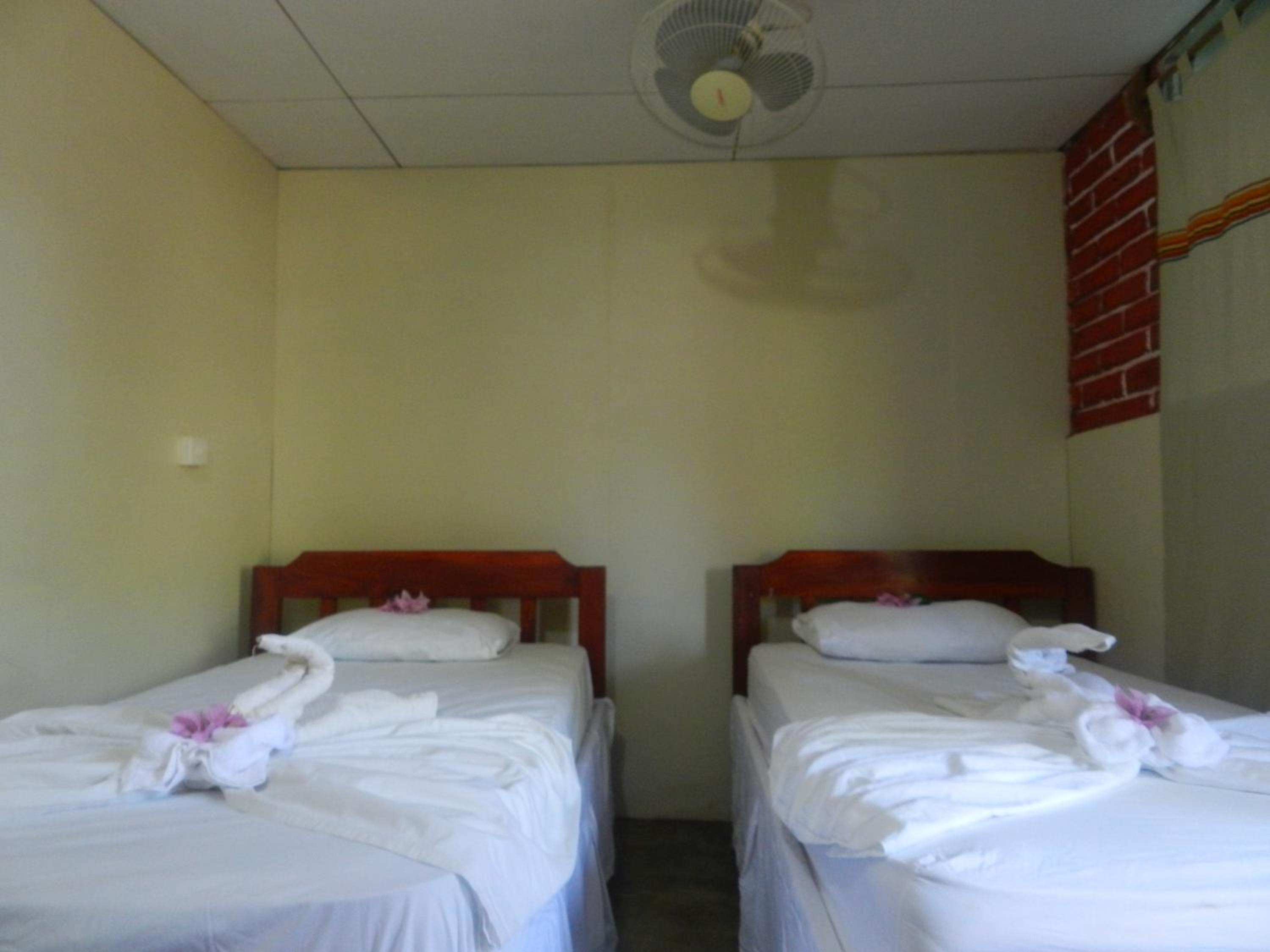 Twin Room with Garden View photo 3