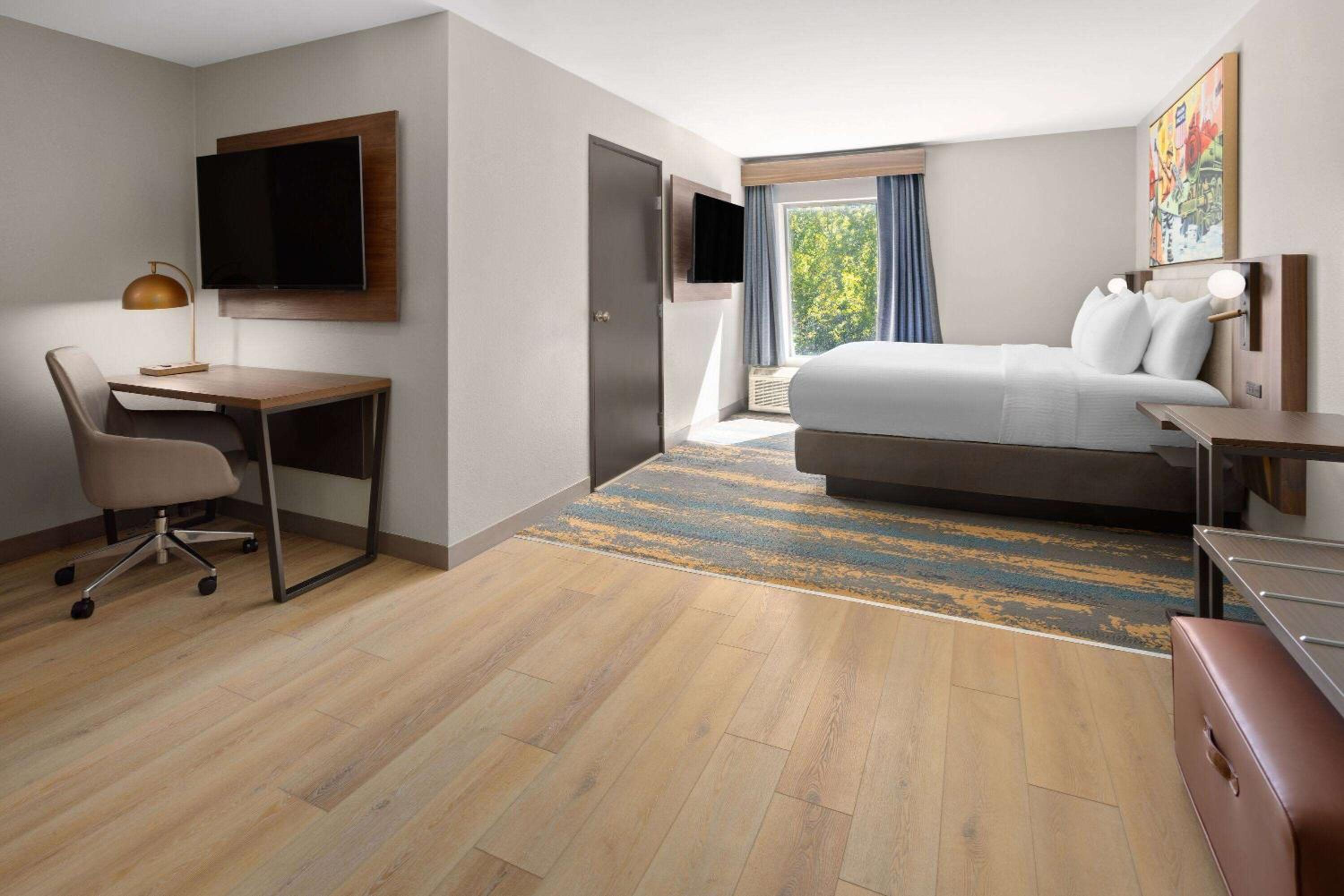 Deluxe King Room with One King Bed and Sofa Bed - Large Living Room and Kitchen - Non-Smoking - Photo 1