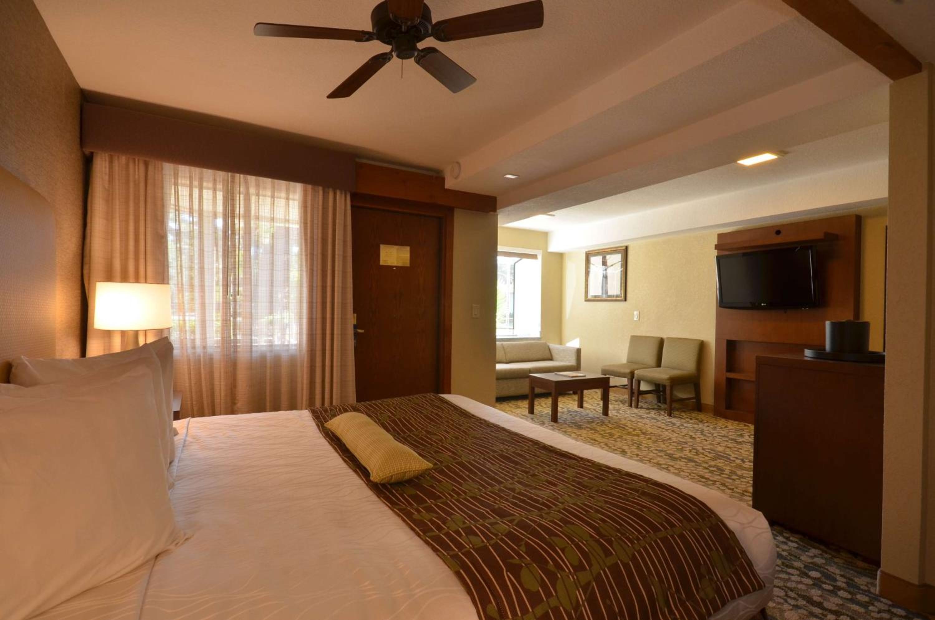 King Room - Disability Access - Photo 2