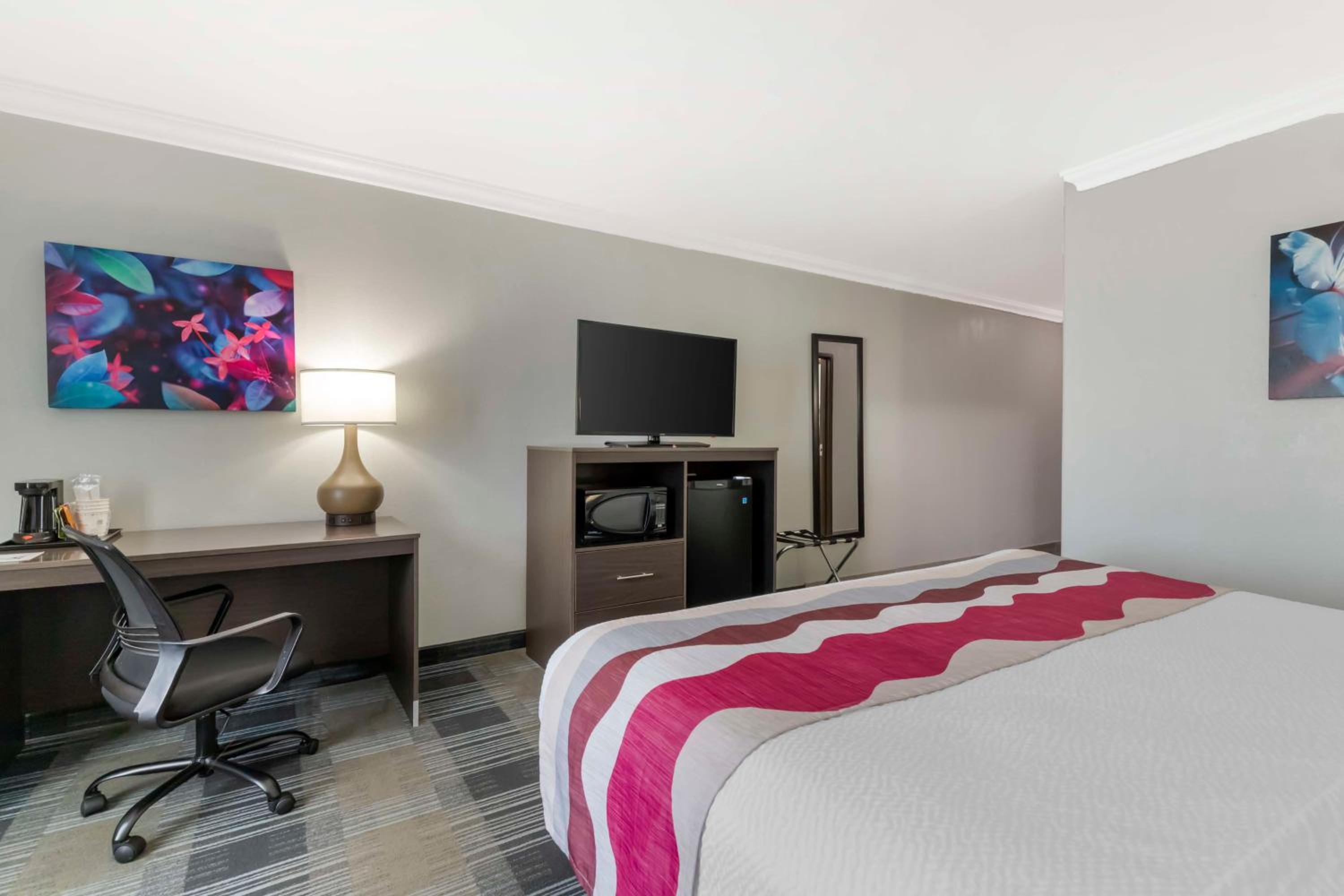 King Room - Photo 5
