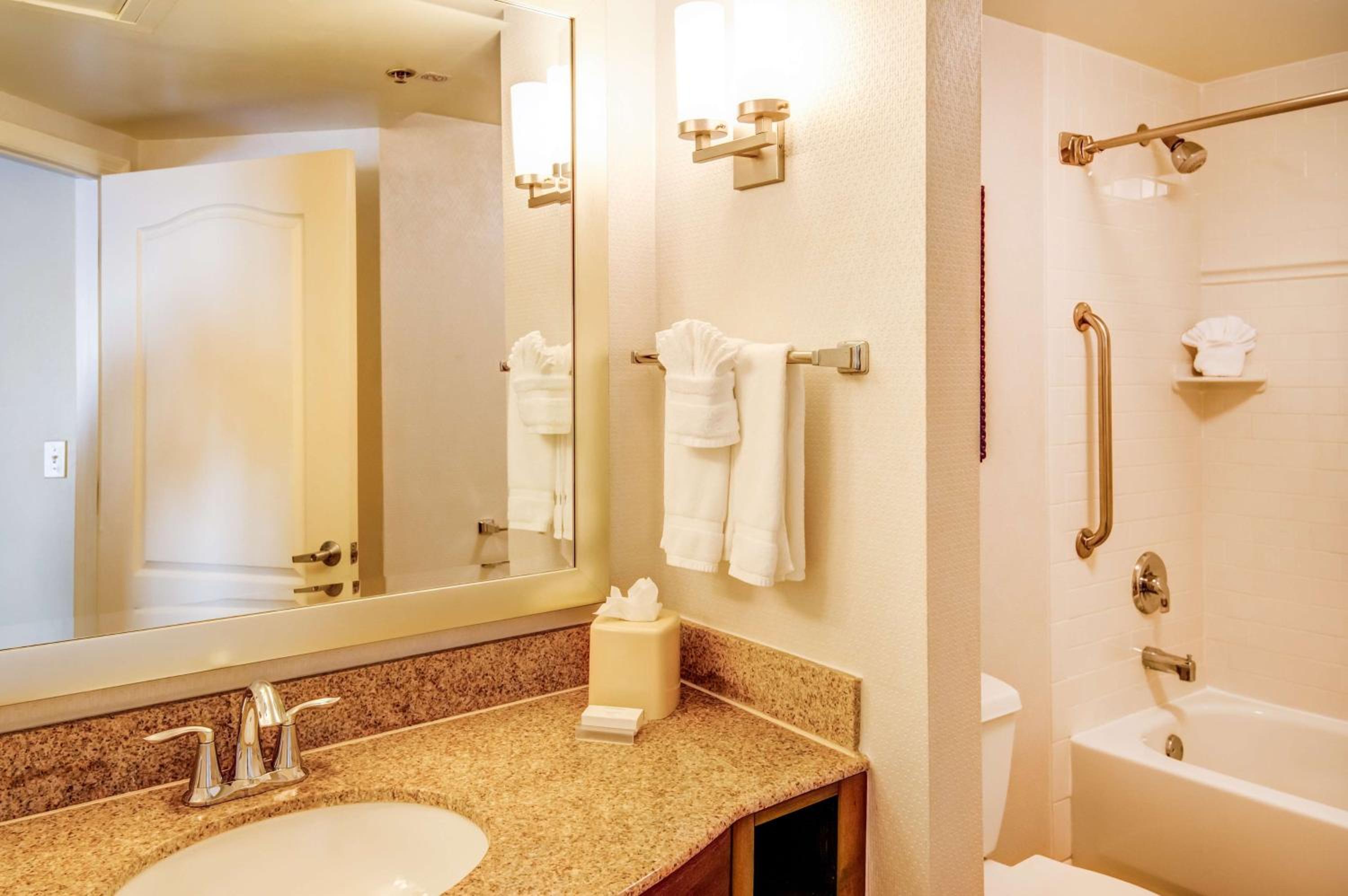 One-Bedroom King Suite - Photo 4