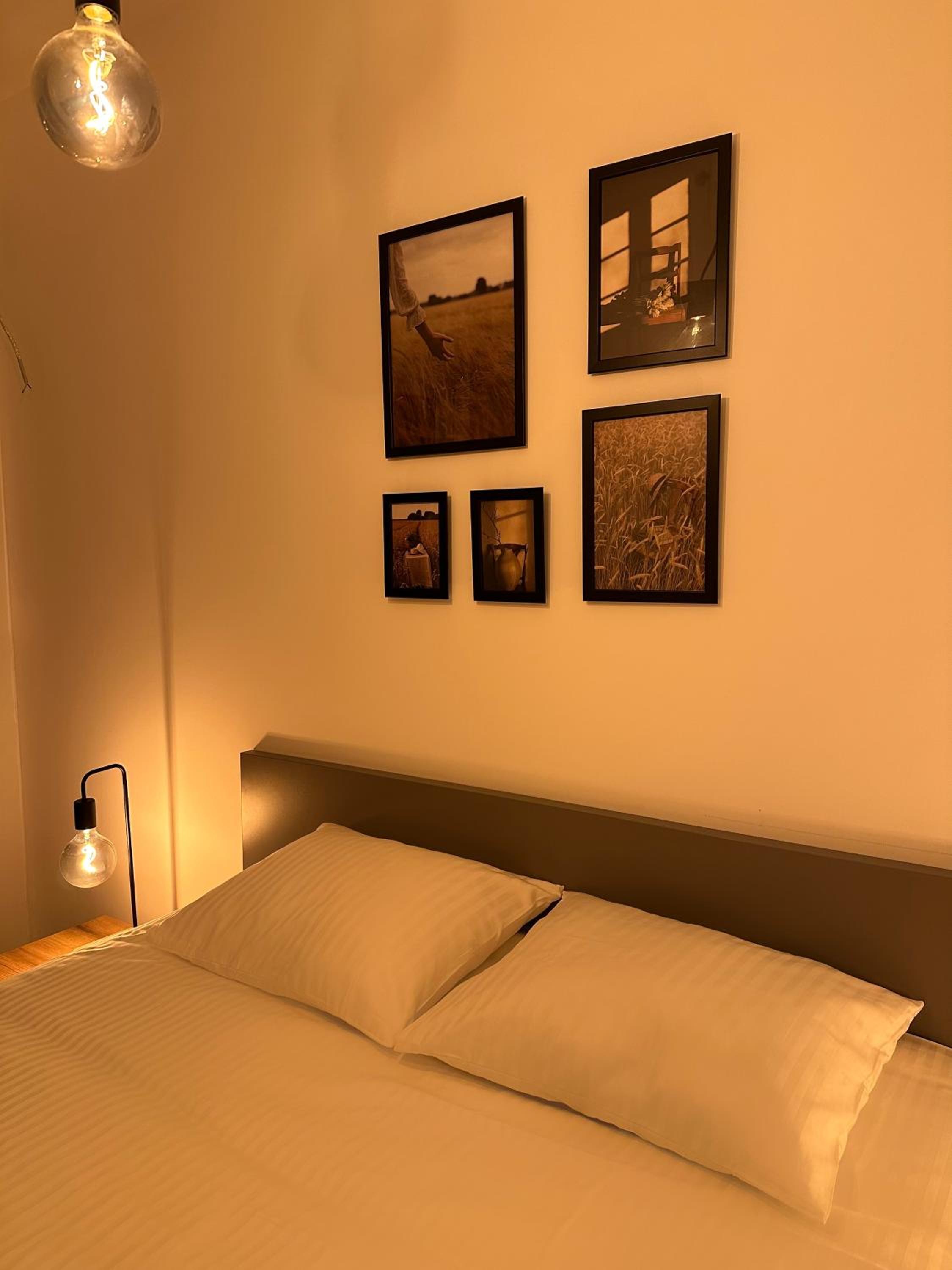 One-Bedroom Apartment photo 3