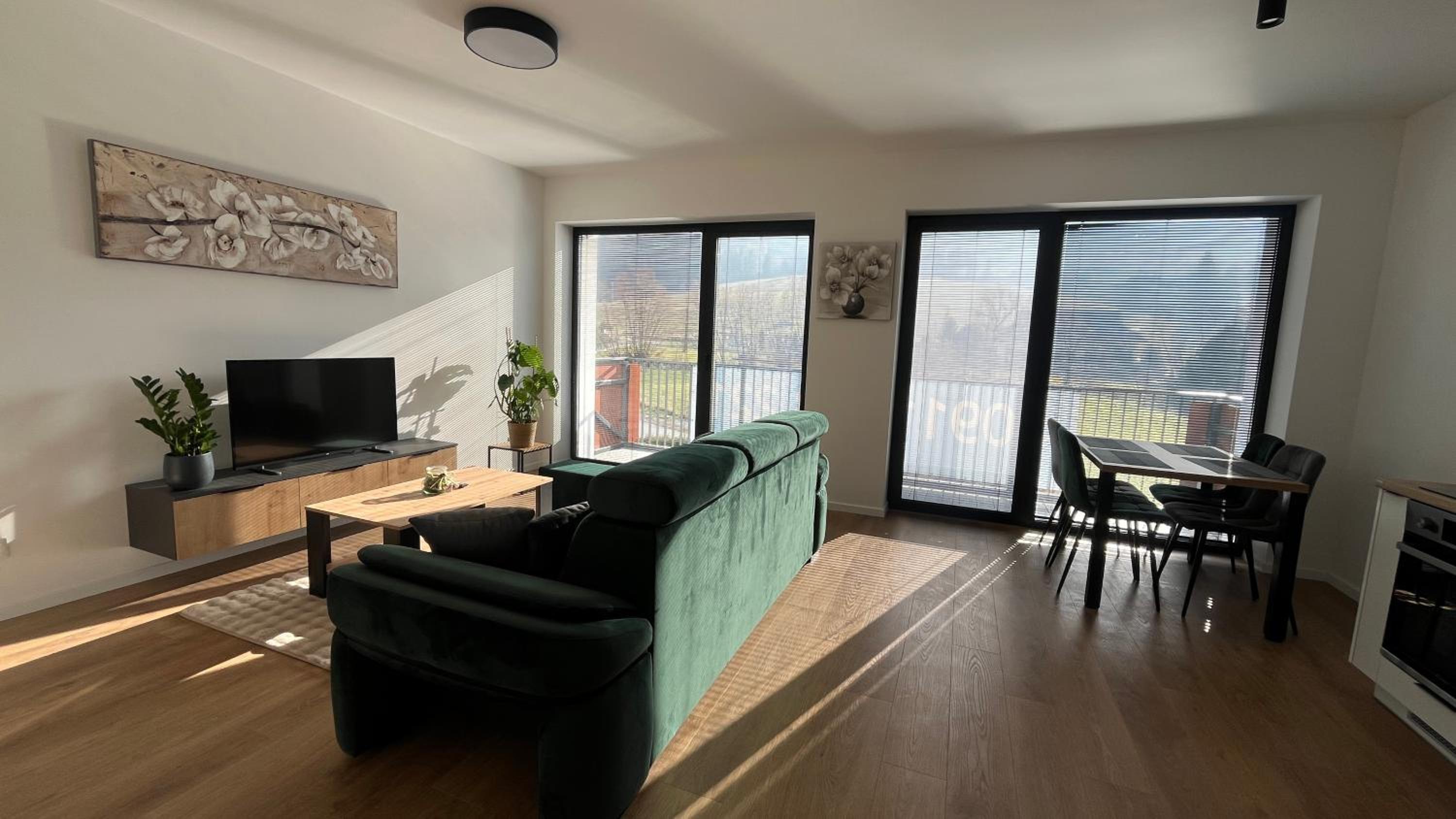 One-Bedroom Apartment with Balcony and Mountain View   photo 3