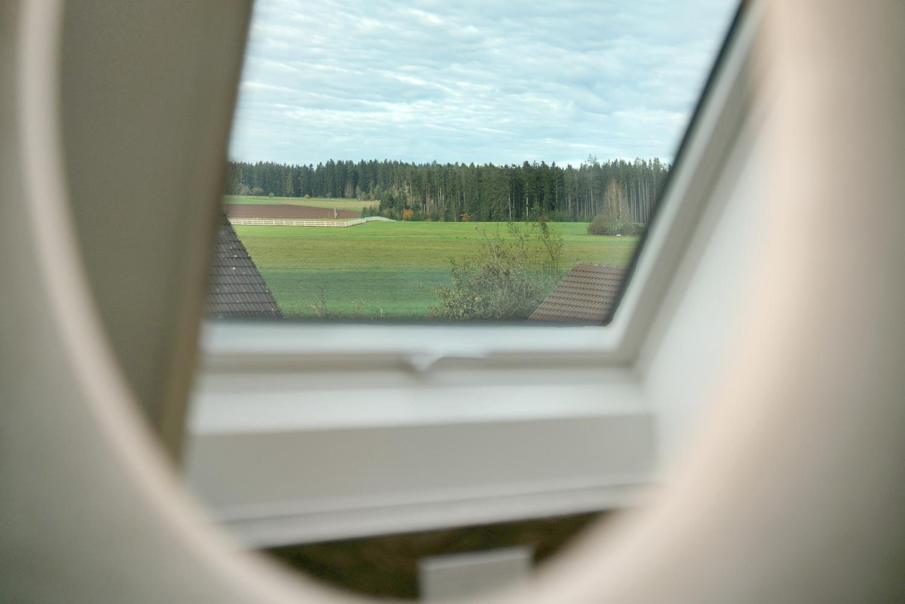 Studio with Garden View photo 2