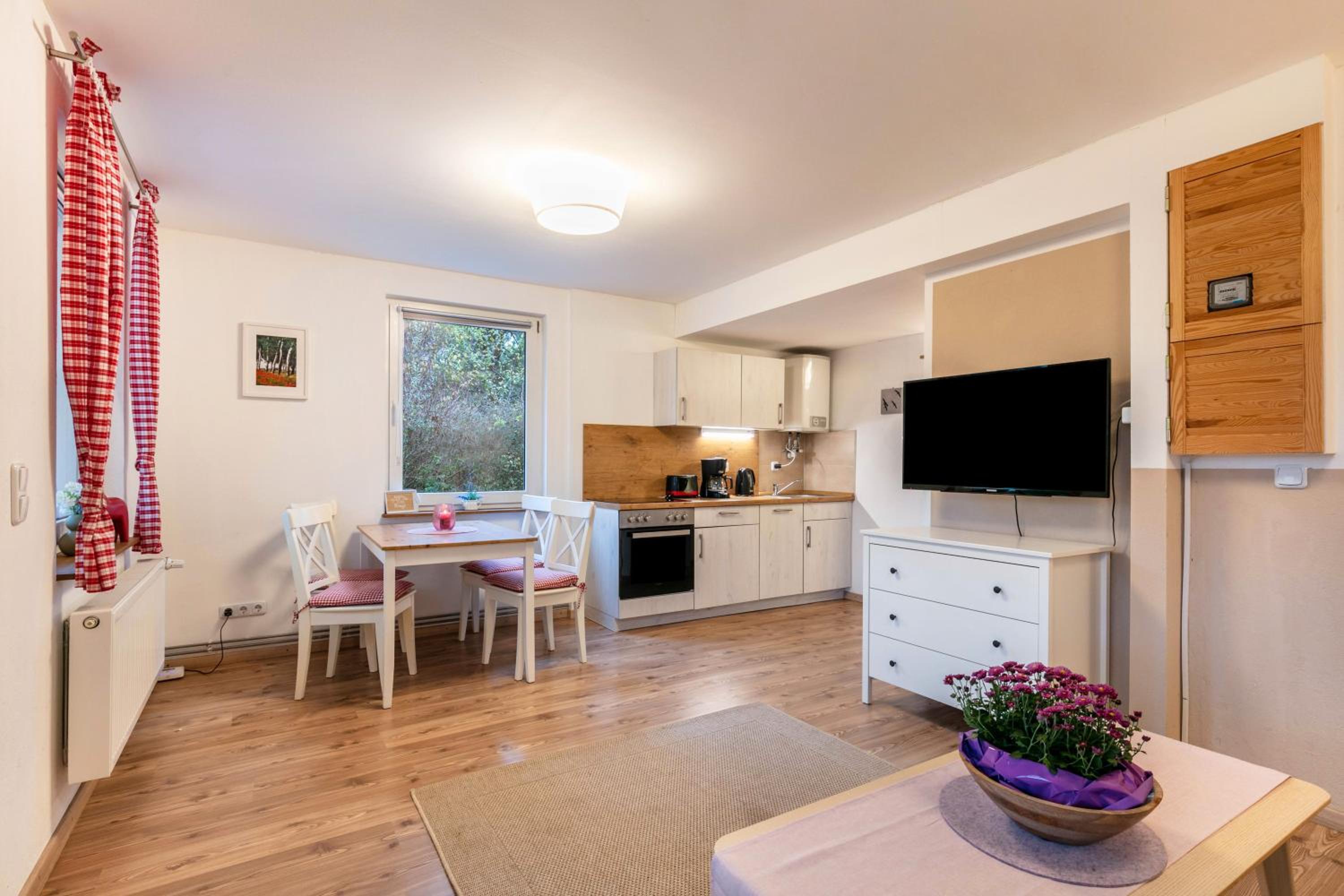 Superior One-Bedroom Apartment with Balcony photo 2