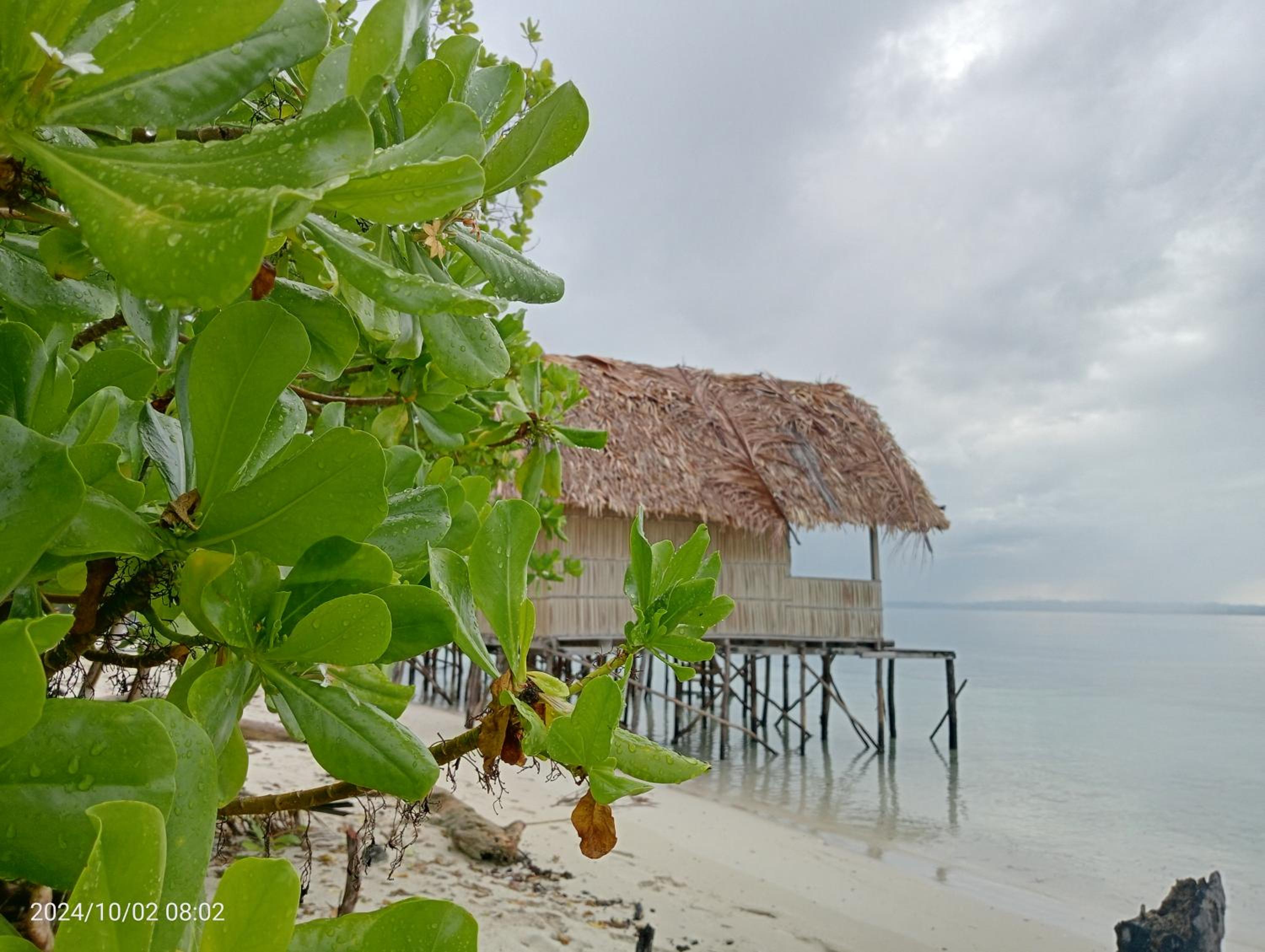 Deluxe Double Room With Sea View photo 1