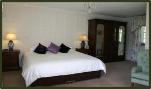 Double or Twin Room photo 3
