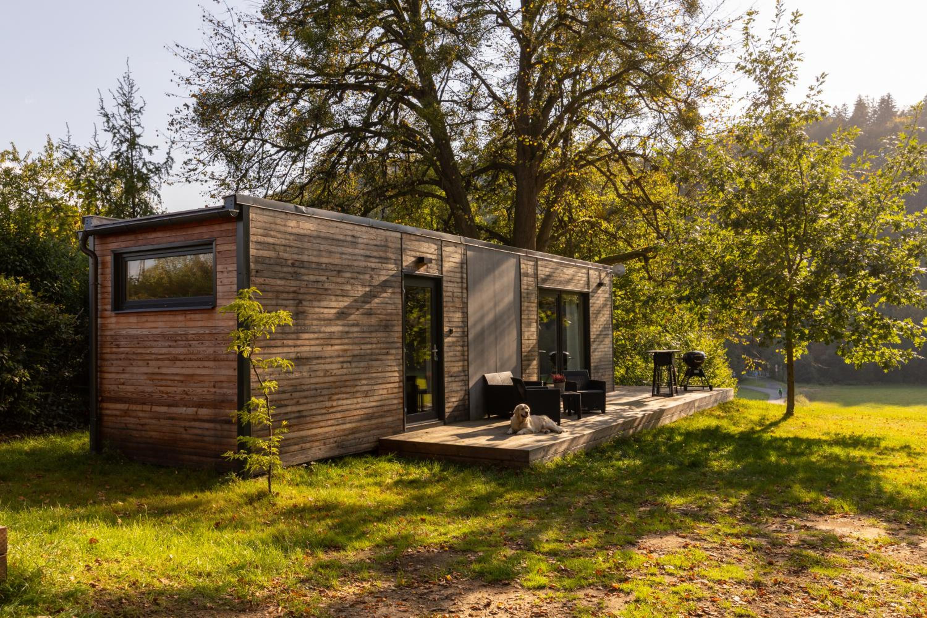Mobile Home photo 1
