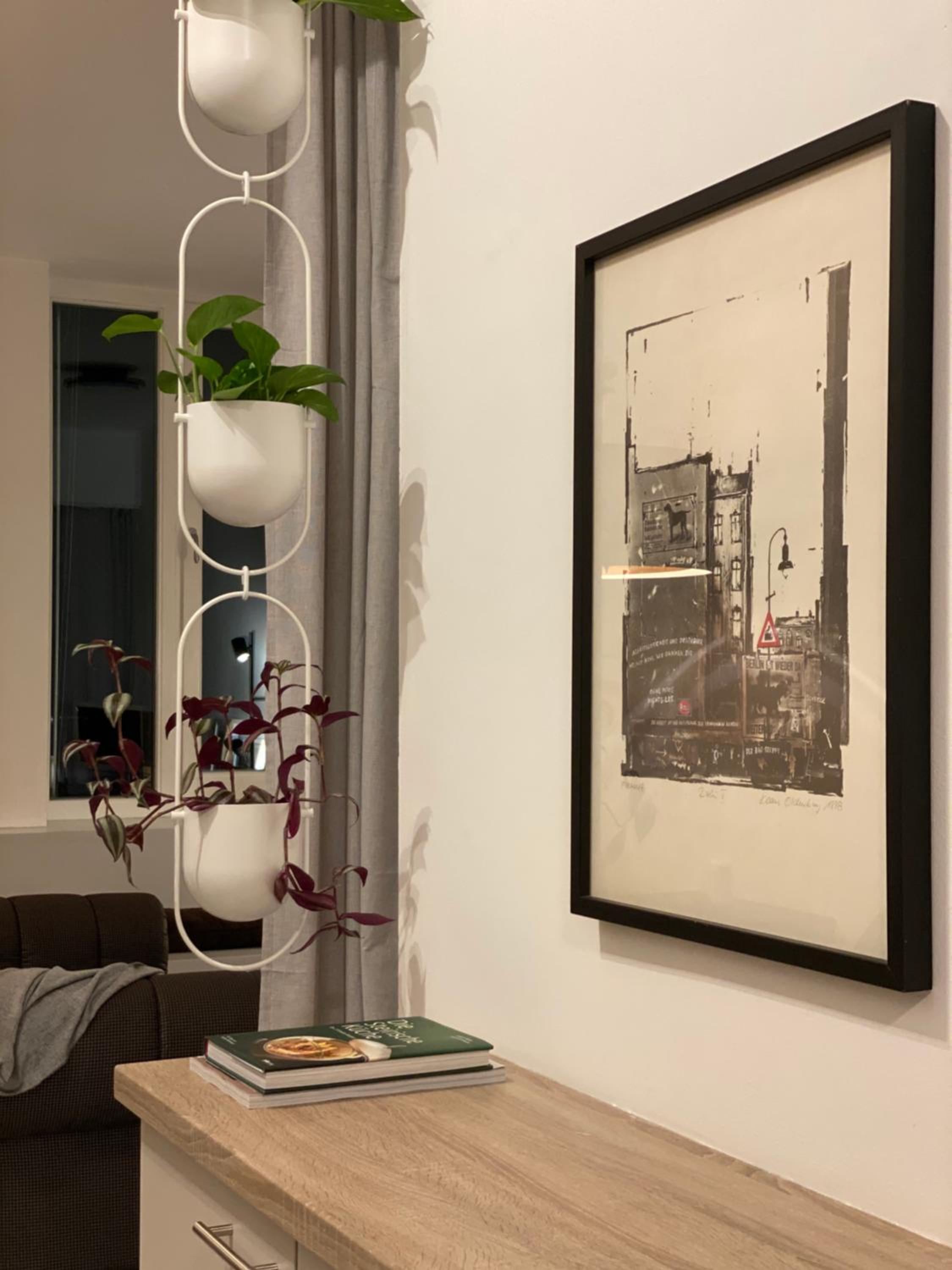 One-Bedroom Apartment photo 3