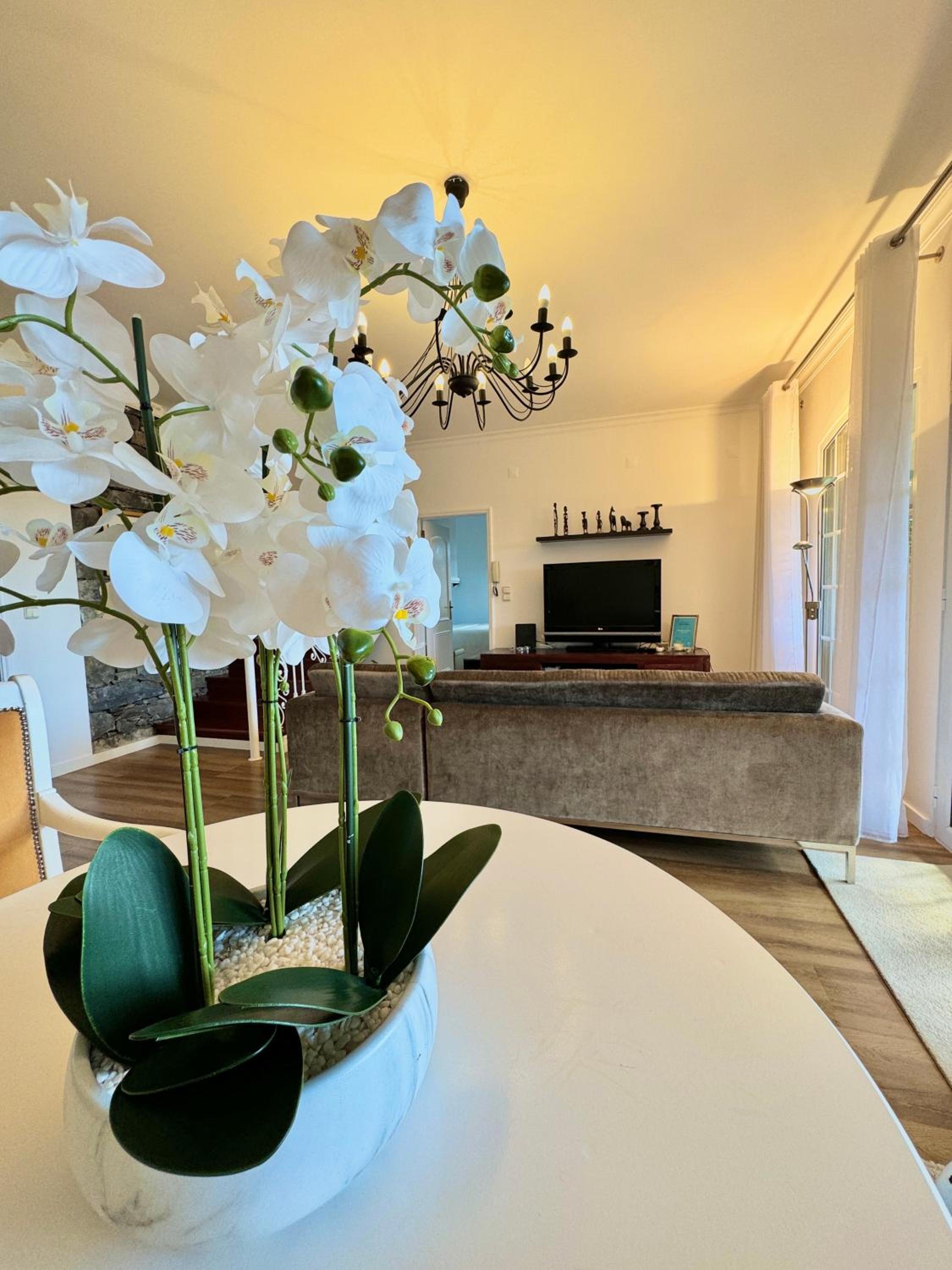 Villa photo 3