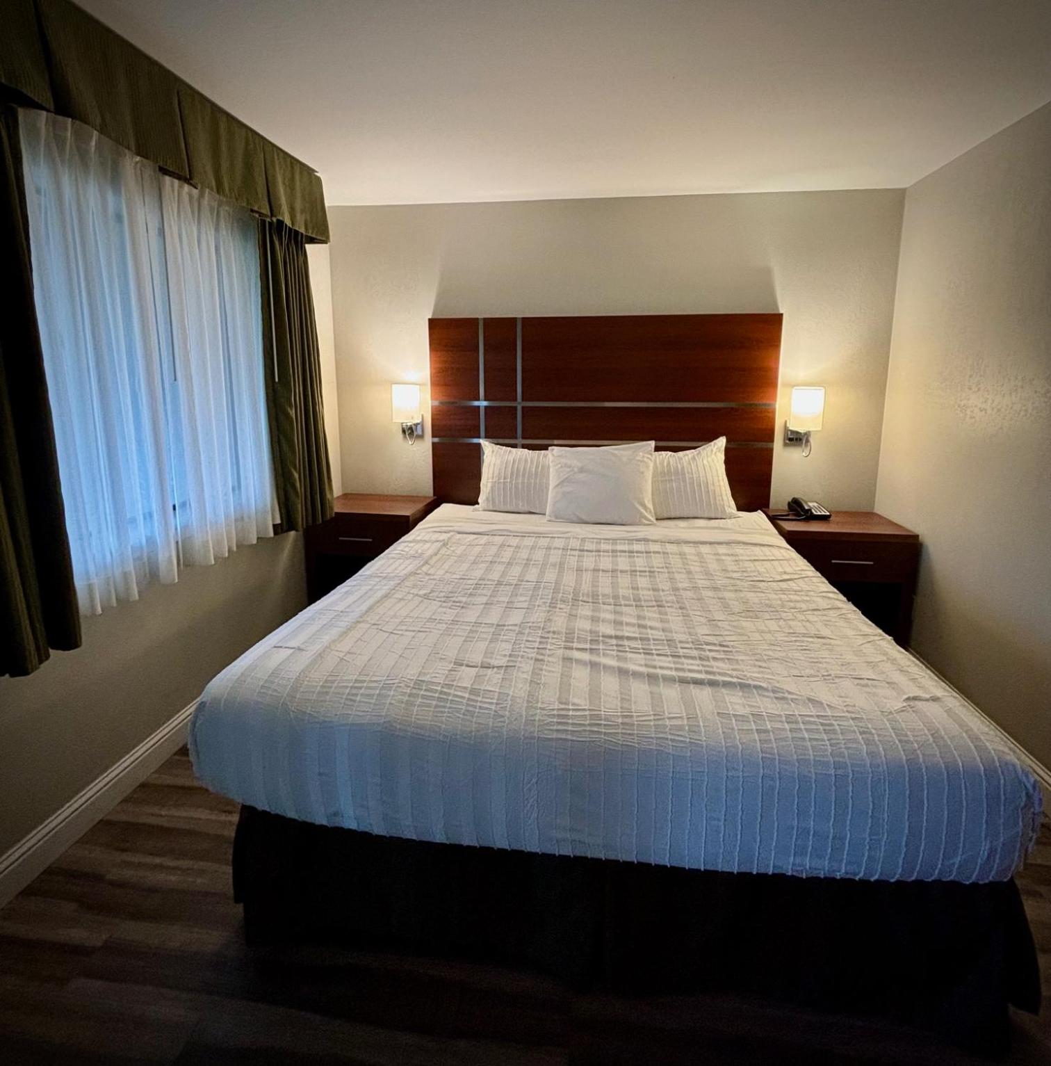 Suite - Photo 1