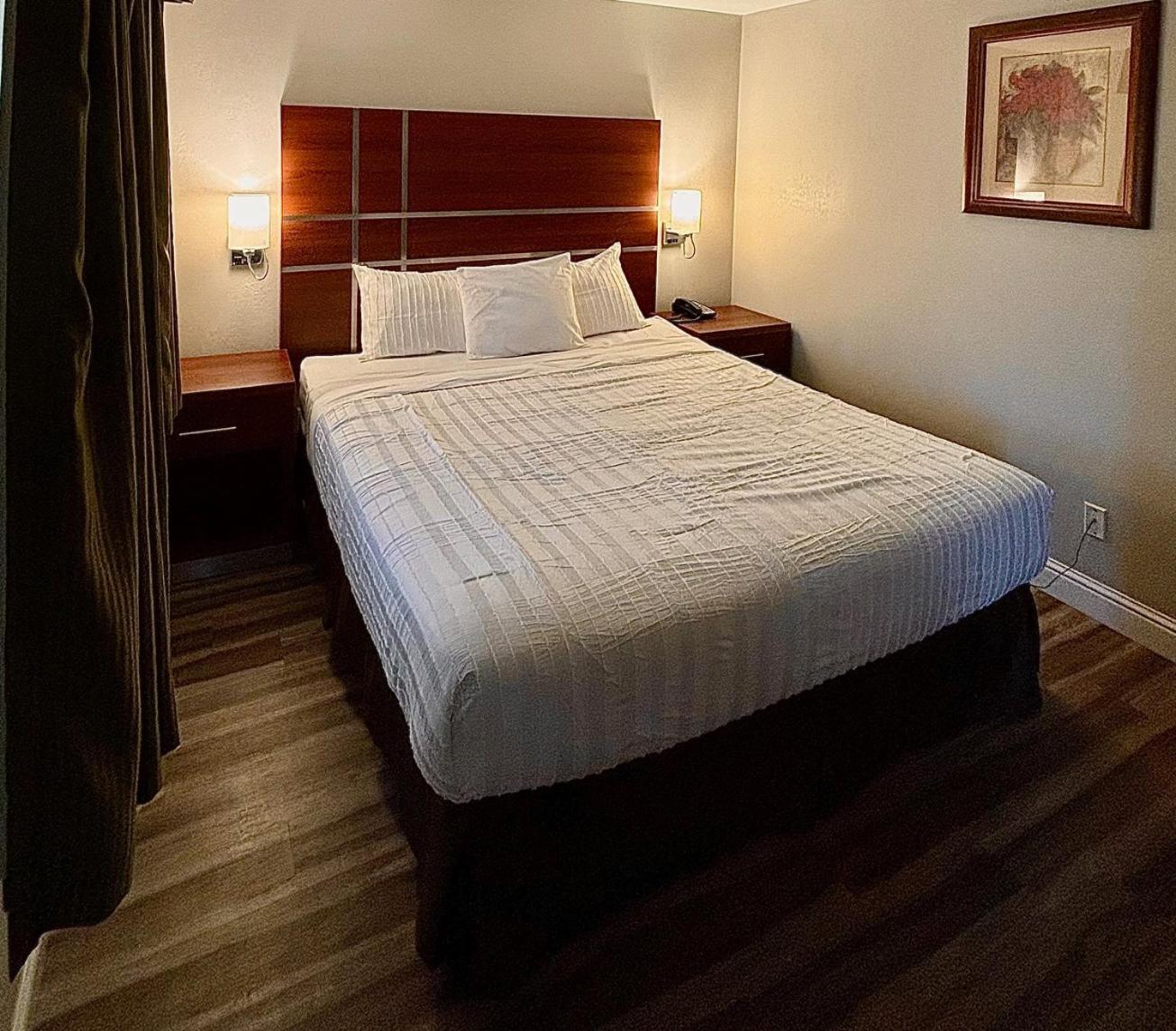 Suite - Photo 3