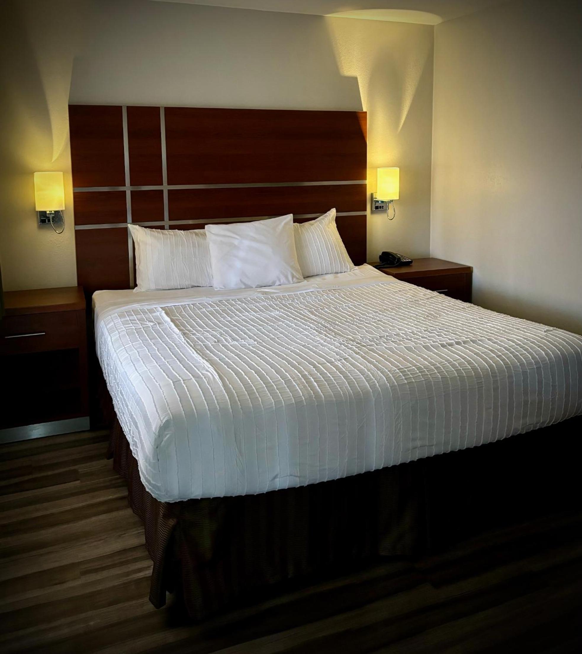 Suite - Photo 2