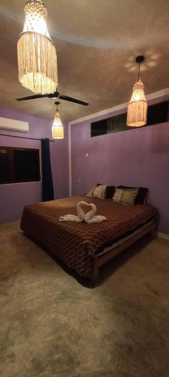 One-Bedroom House photo 1