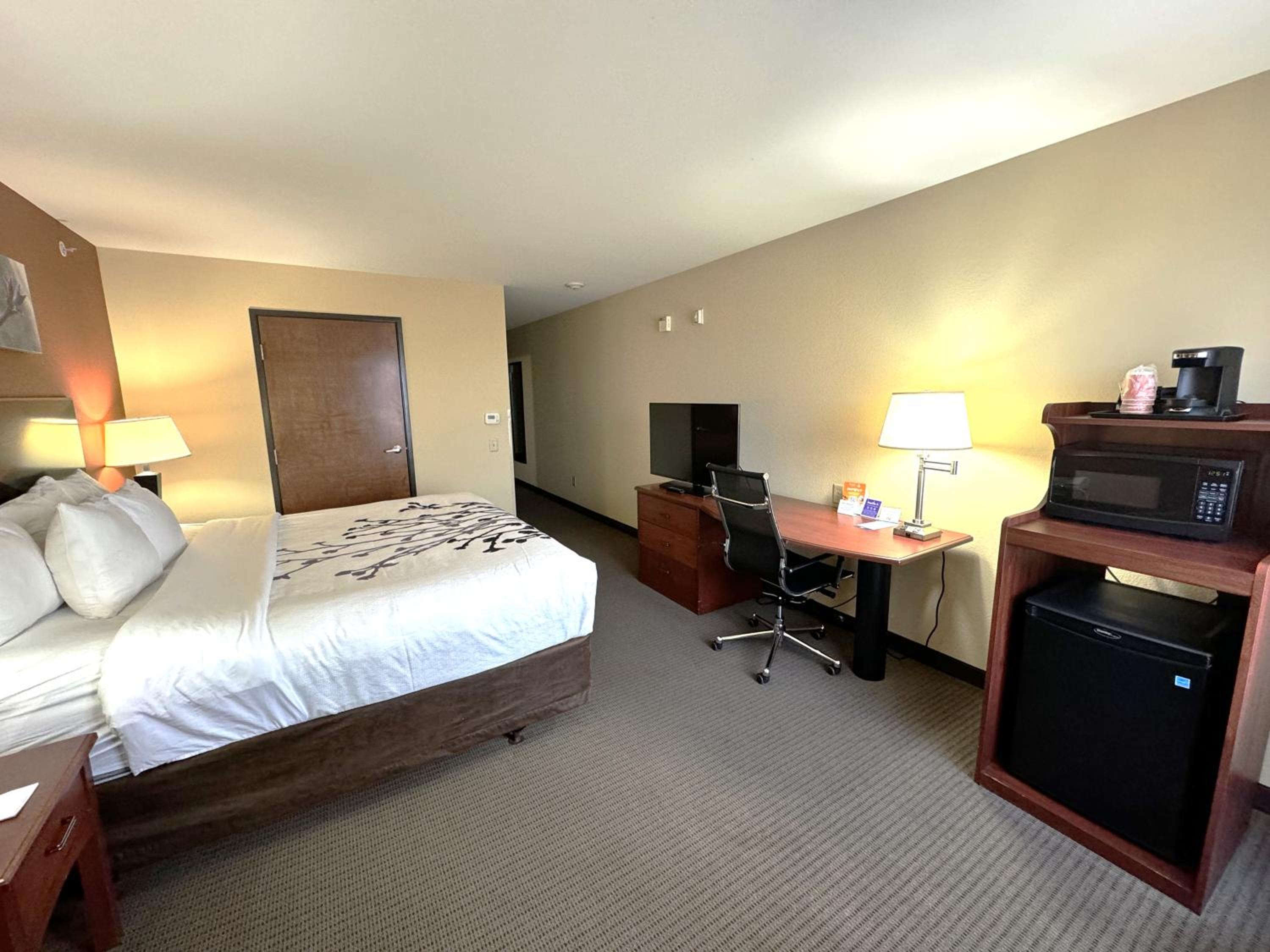 King Room - Accessible/Non-Smoking - Photo 4