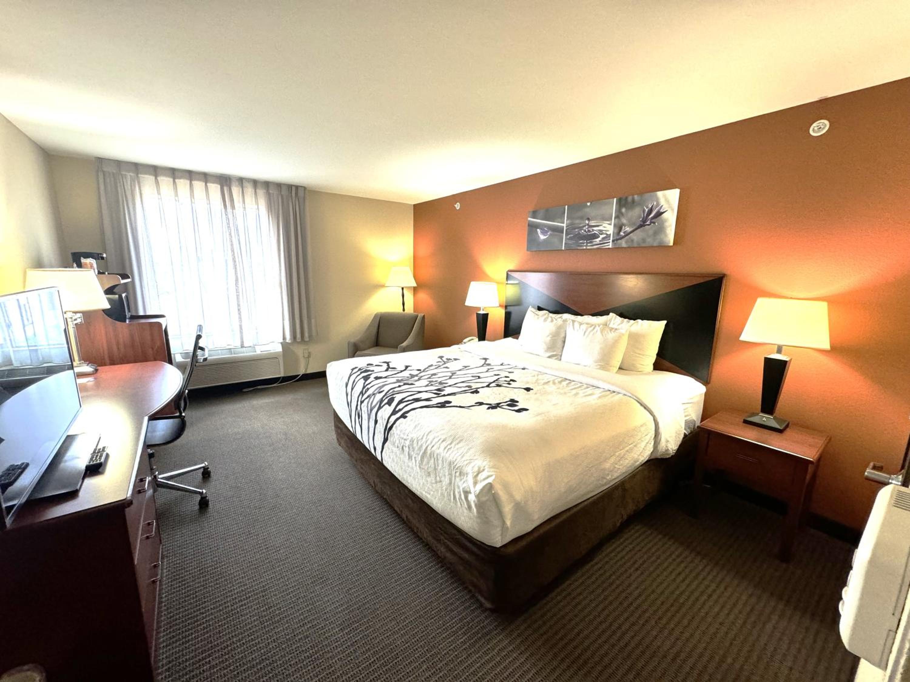 King Room - Accessible/Non-Smoking - Photo 3
