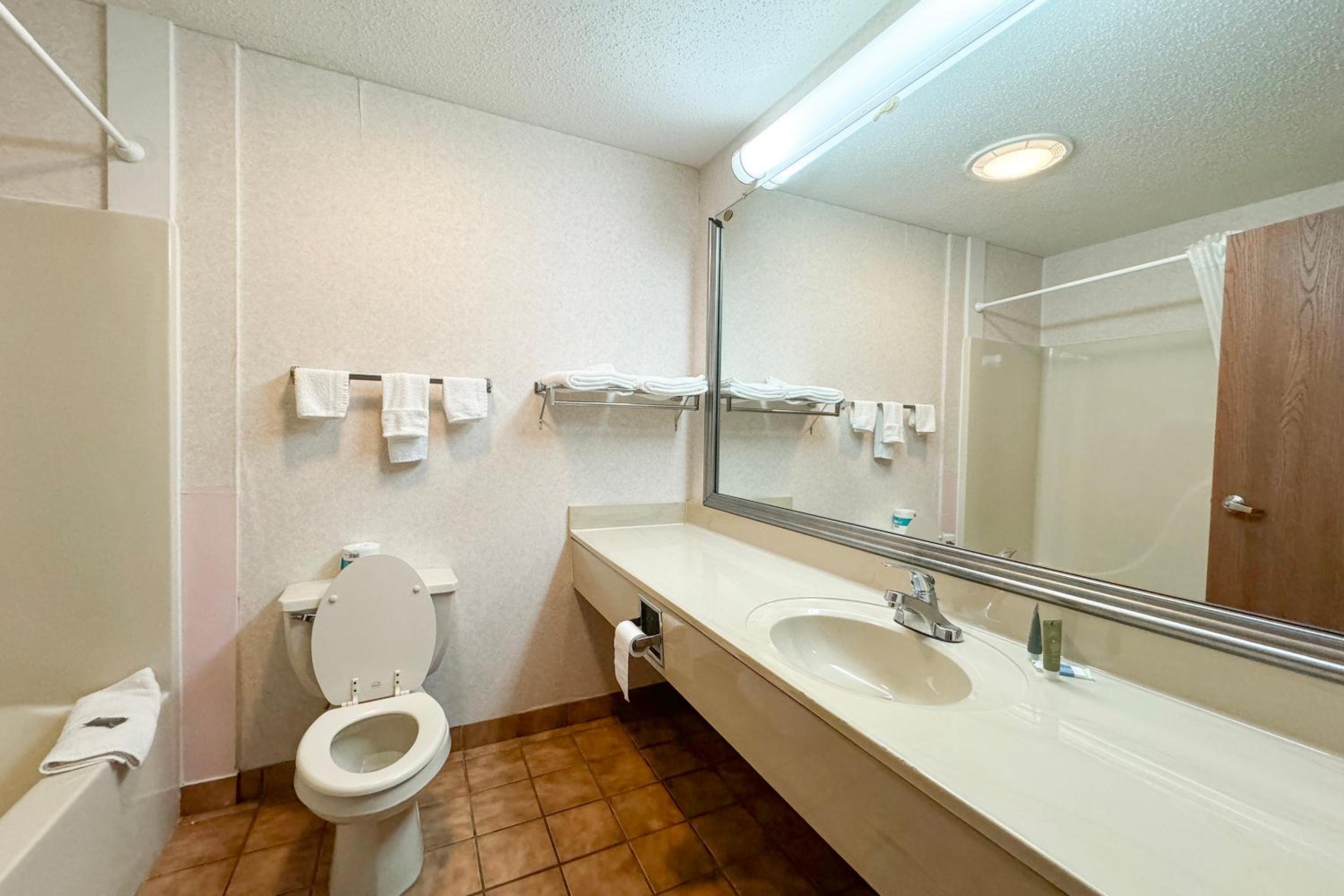 Premium King Bed Non-Smoking with Jetted Tub - Photo 2