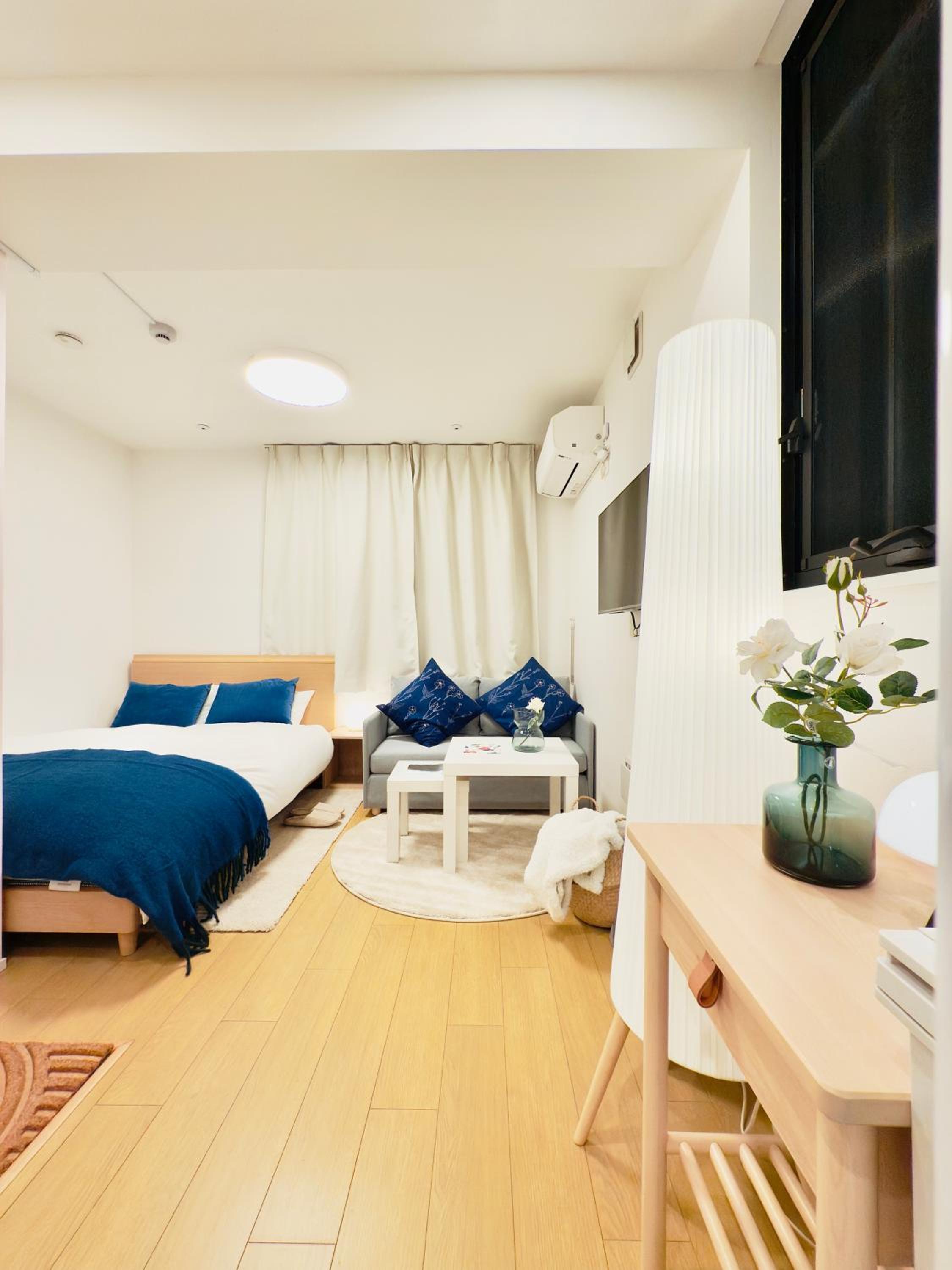 Superior One-Bedroom Apartment photo 1