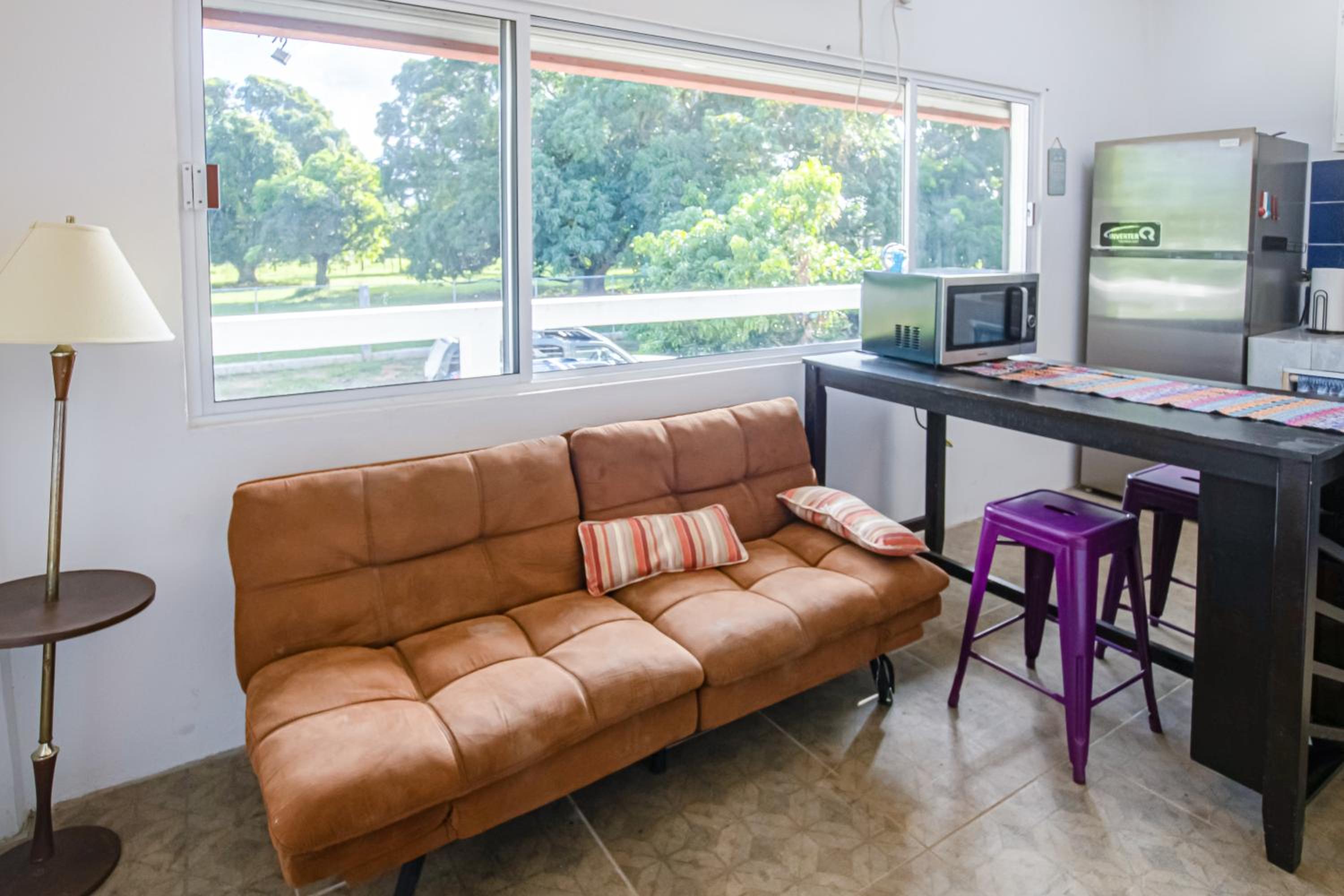One Bedroom Apartment photo 3