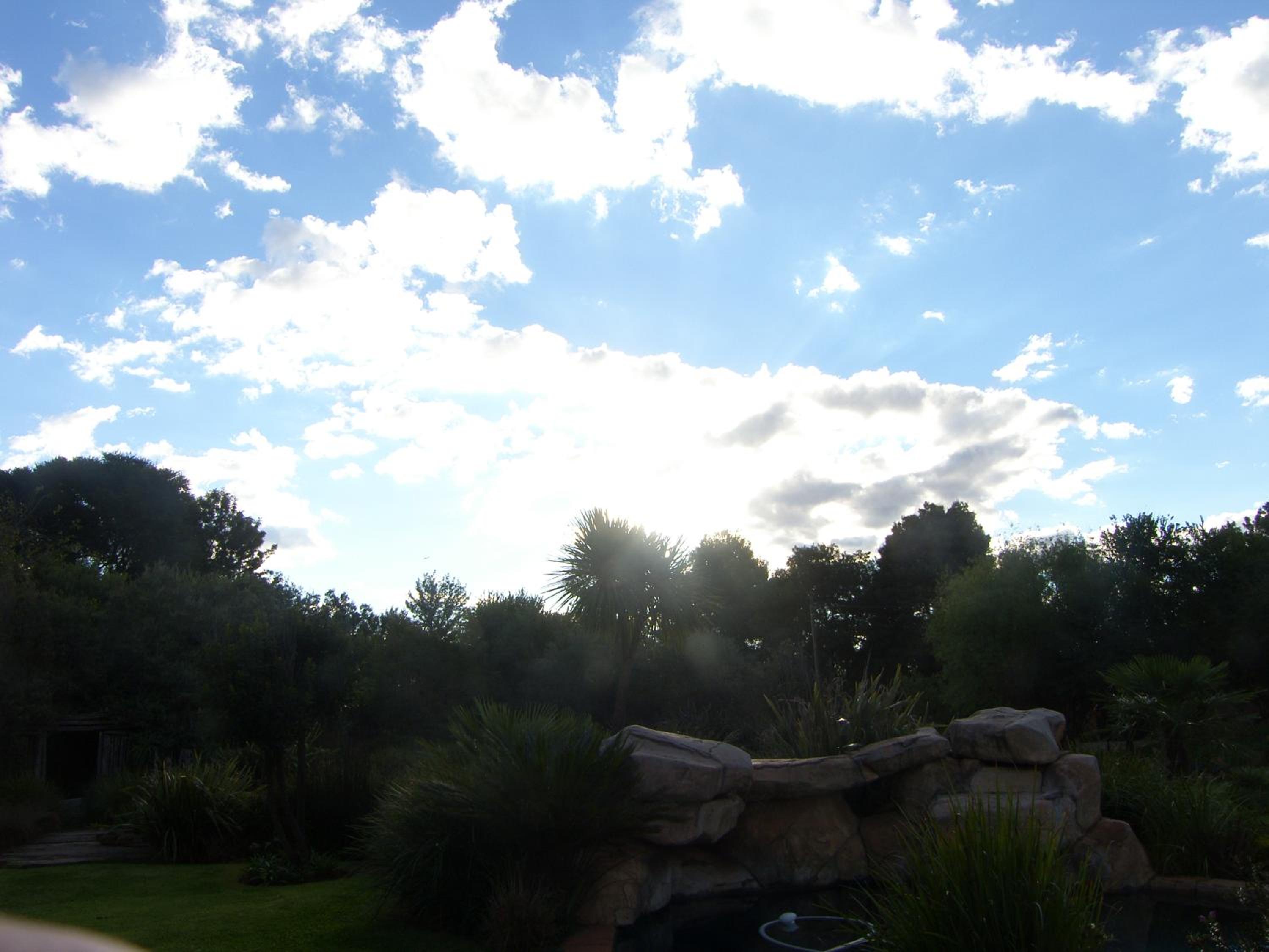 King Room with Garden View - Photo 2