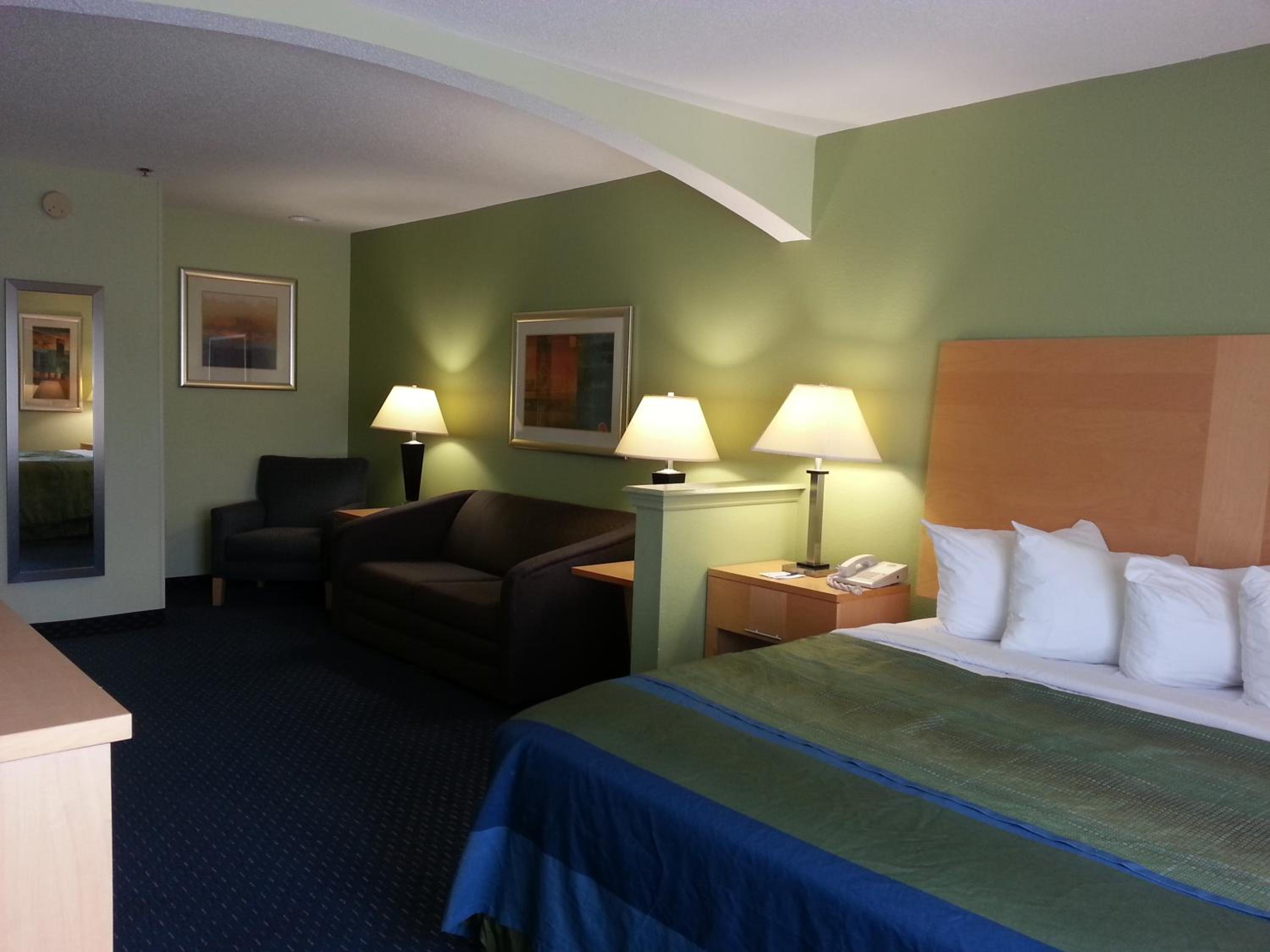 Studio Suite with King Bed and Sofa Bed - Photo 1