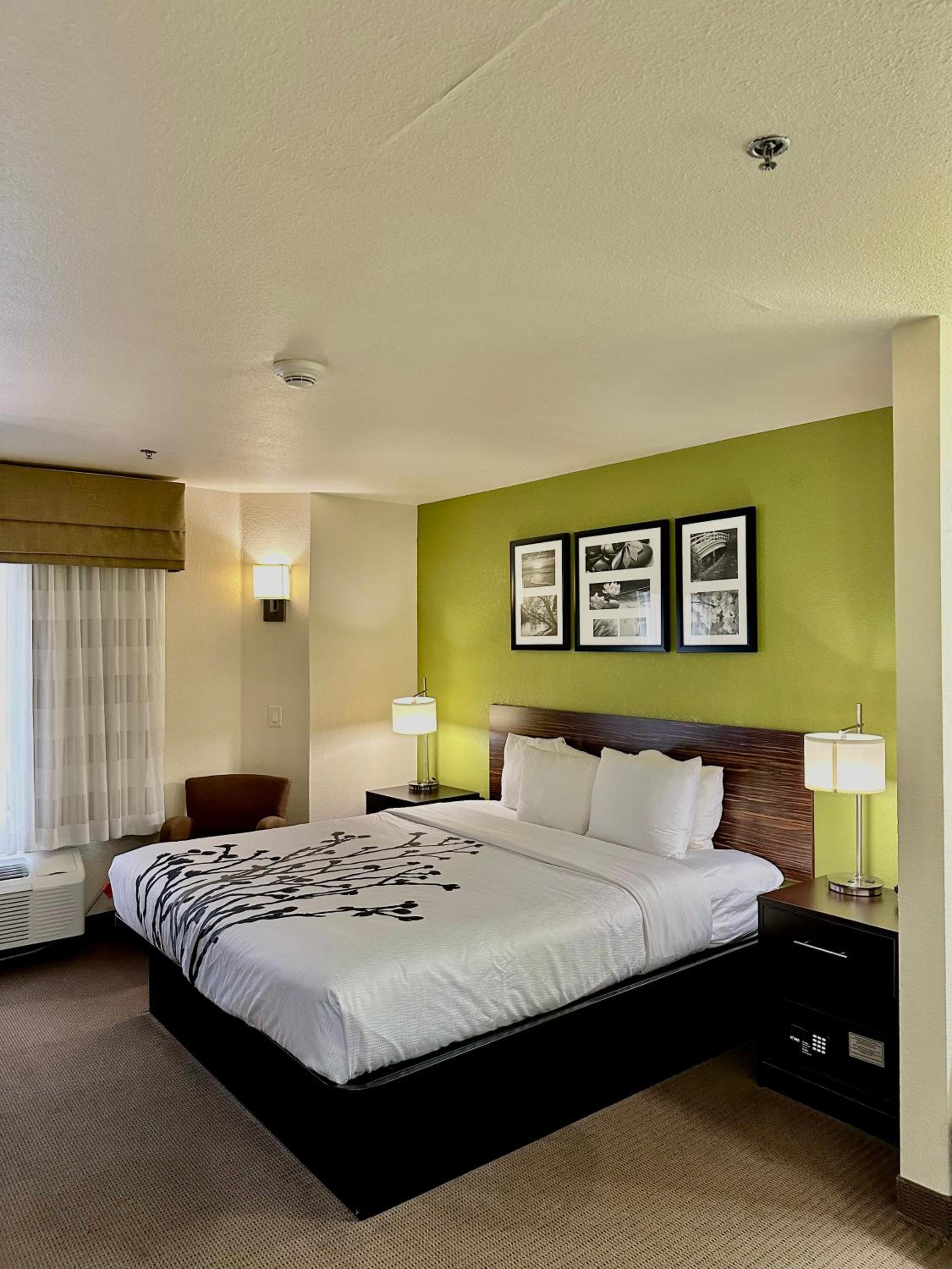 King Room - Photo 7