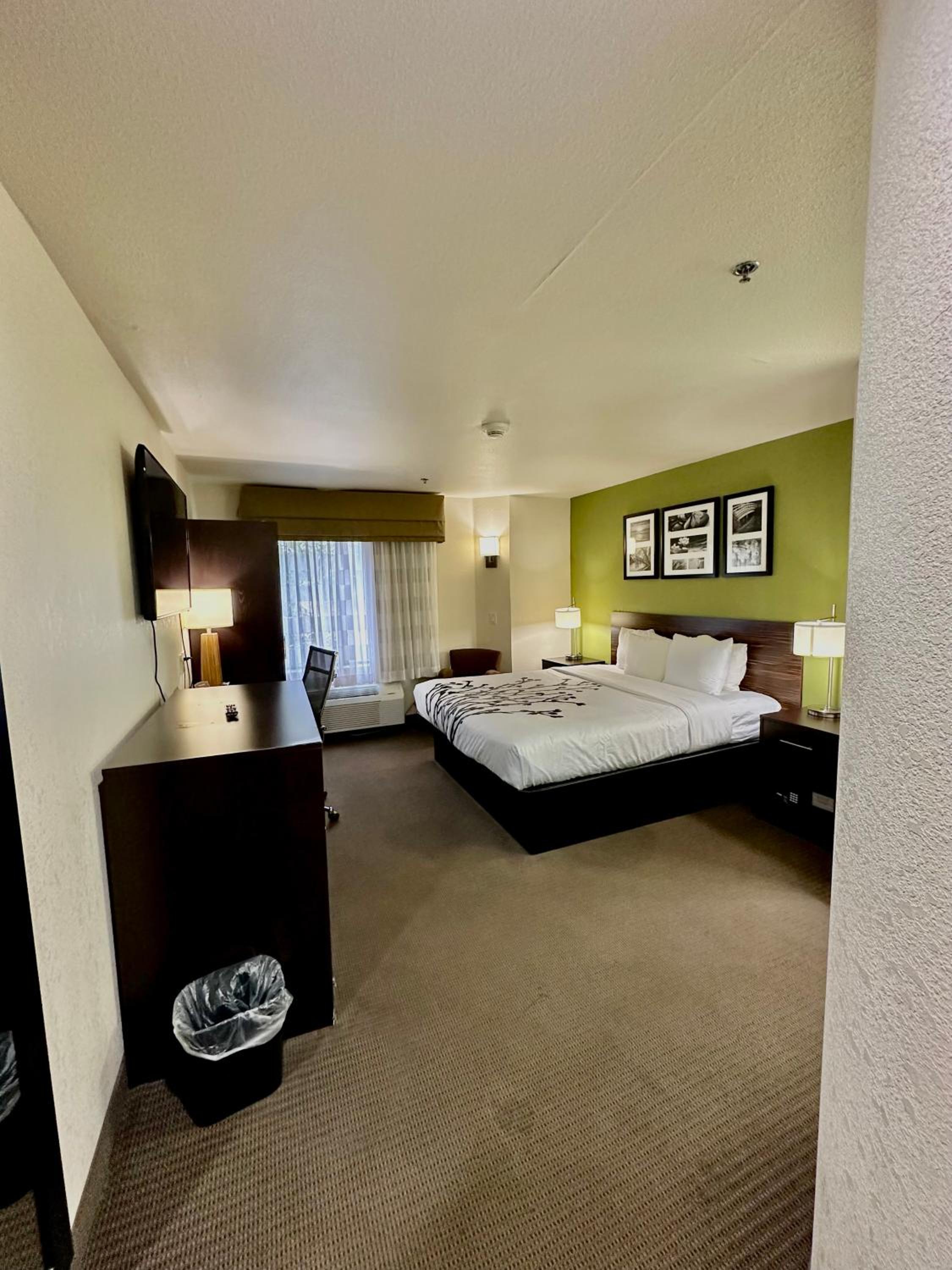 King Room - Photo 2