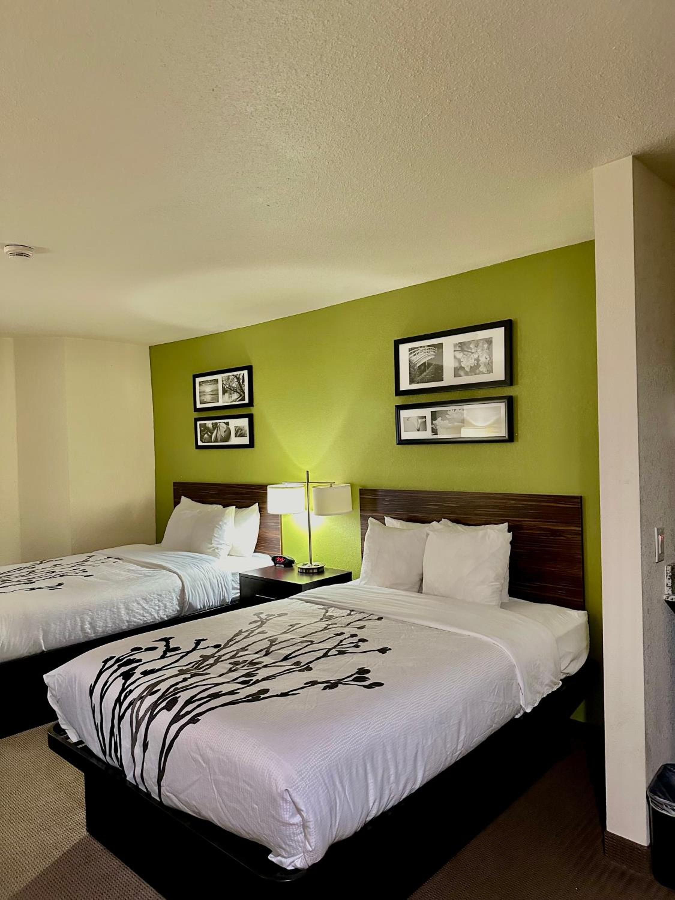 Double Room with Two Double Beds - Photo 4