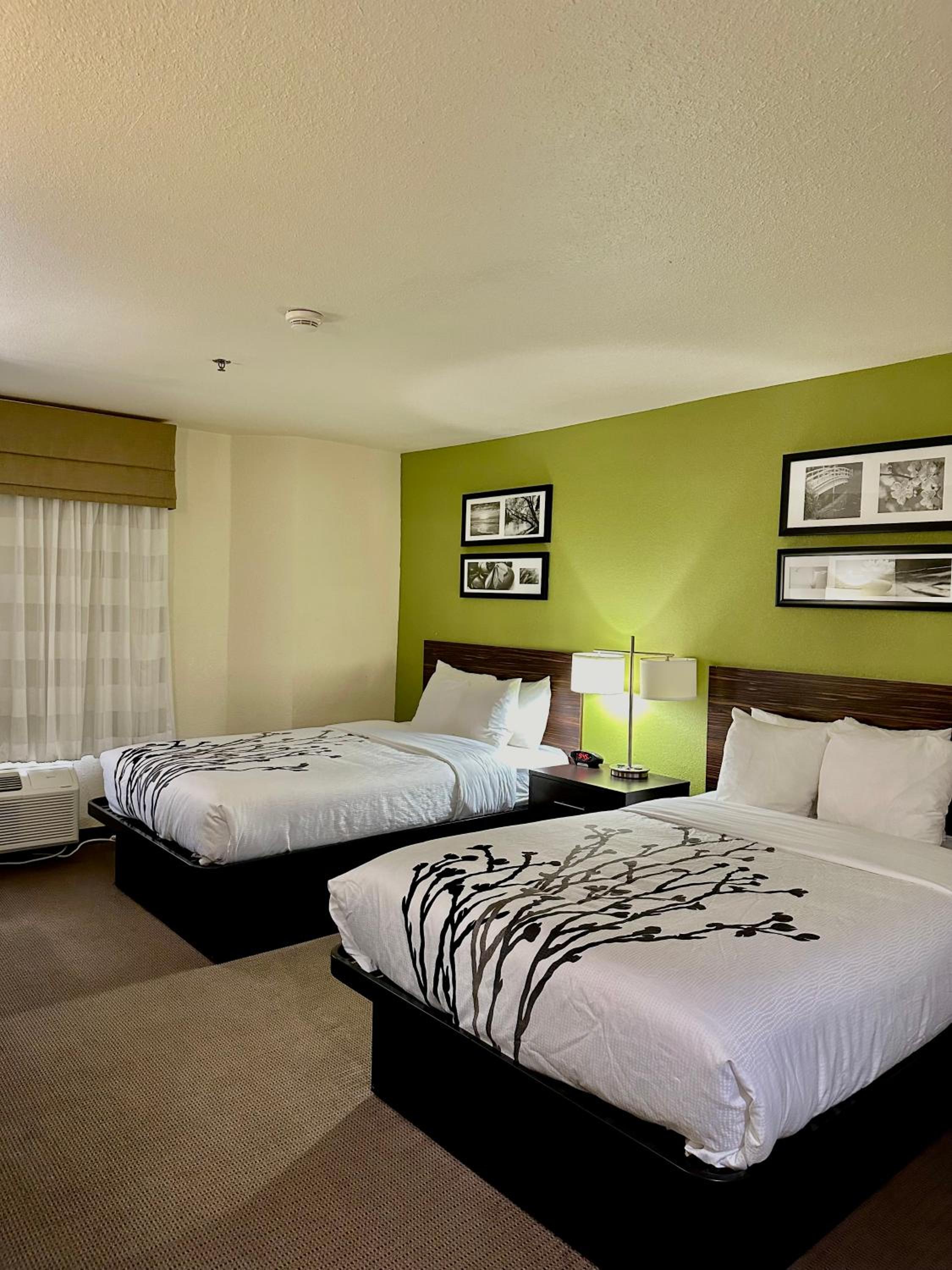 Double Room with Two Double Beds - Photo 5