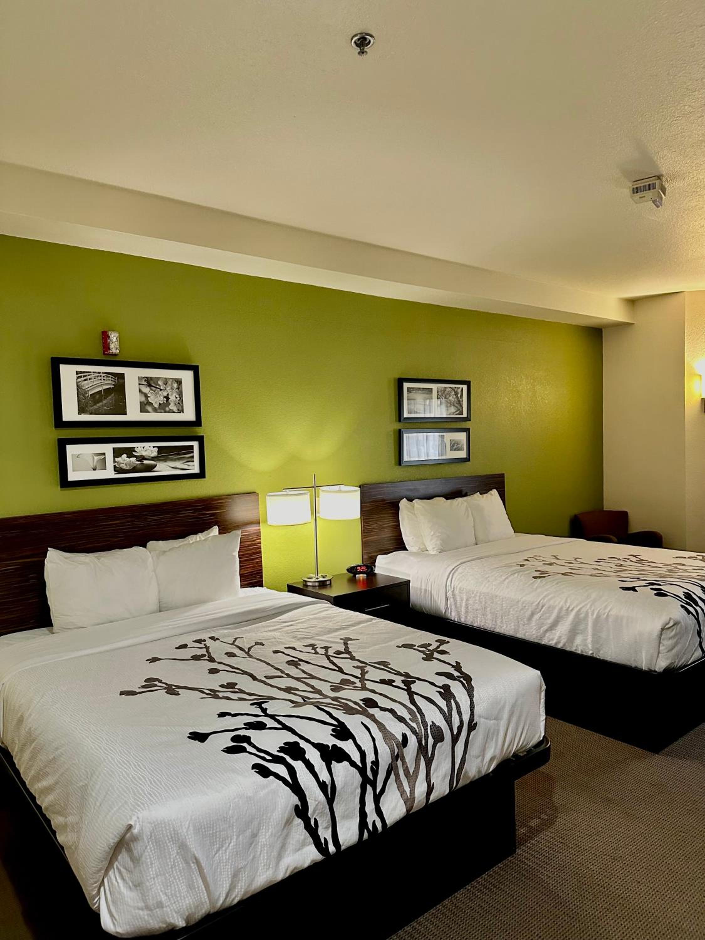 Double Room with Two Double Beds - Accessible/Non-Smoking - Photo 2
