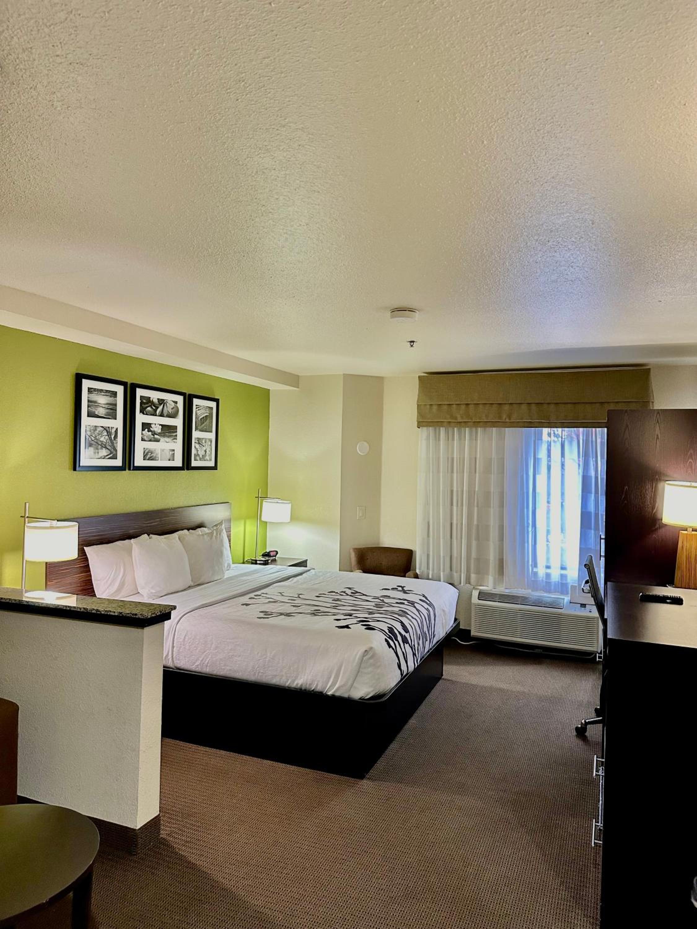 Standard King Suite photo 2