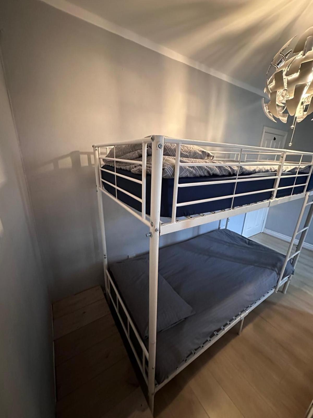 Bunk Bed In Mixed Dormitory Room photo 2