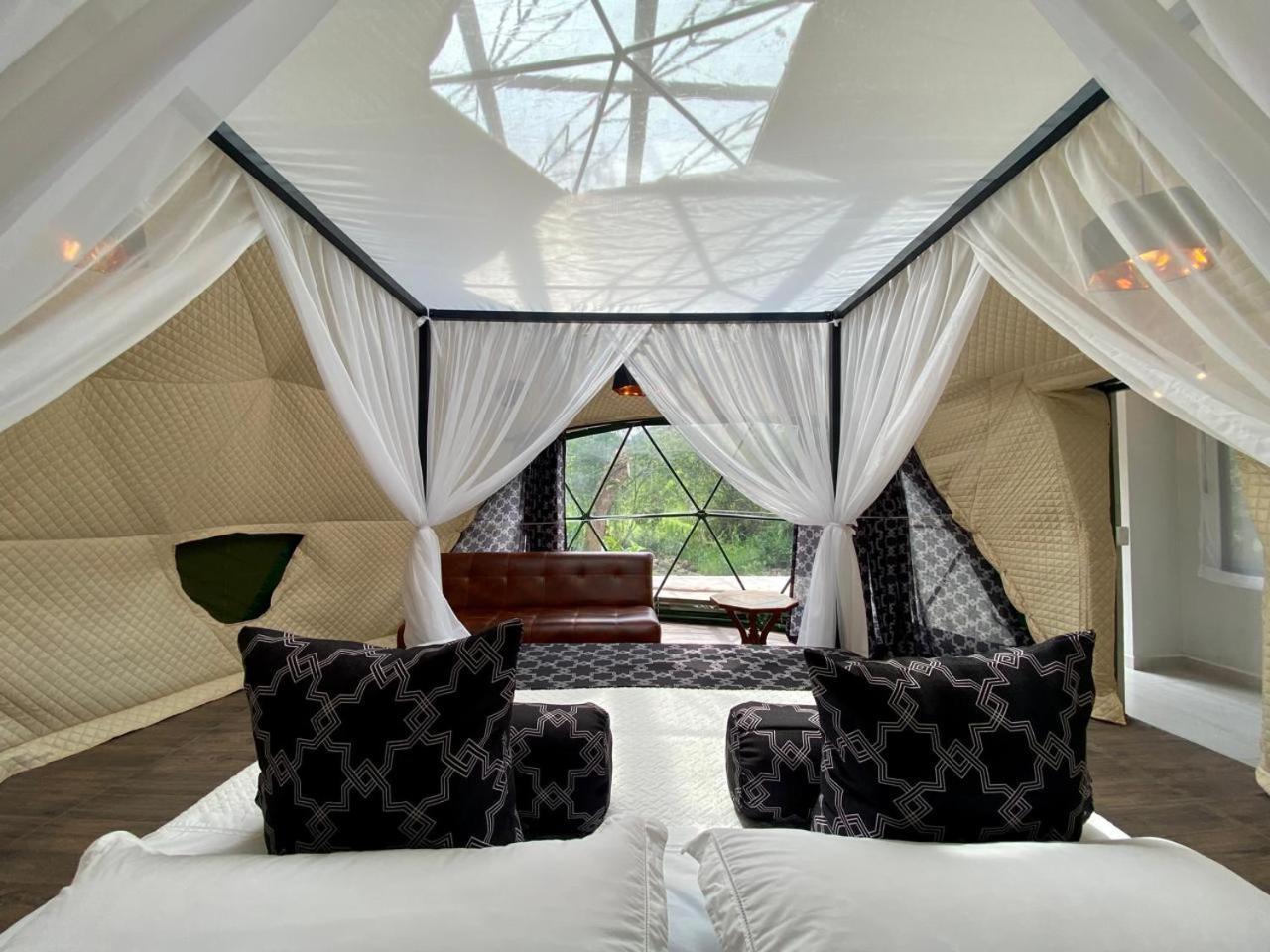 Deluxe King Suite photo 3