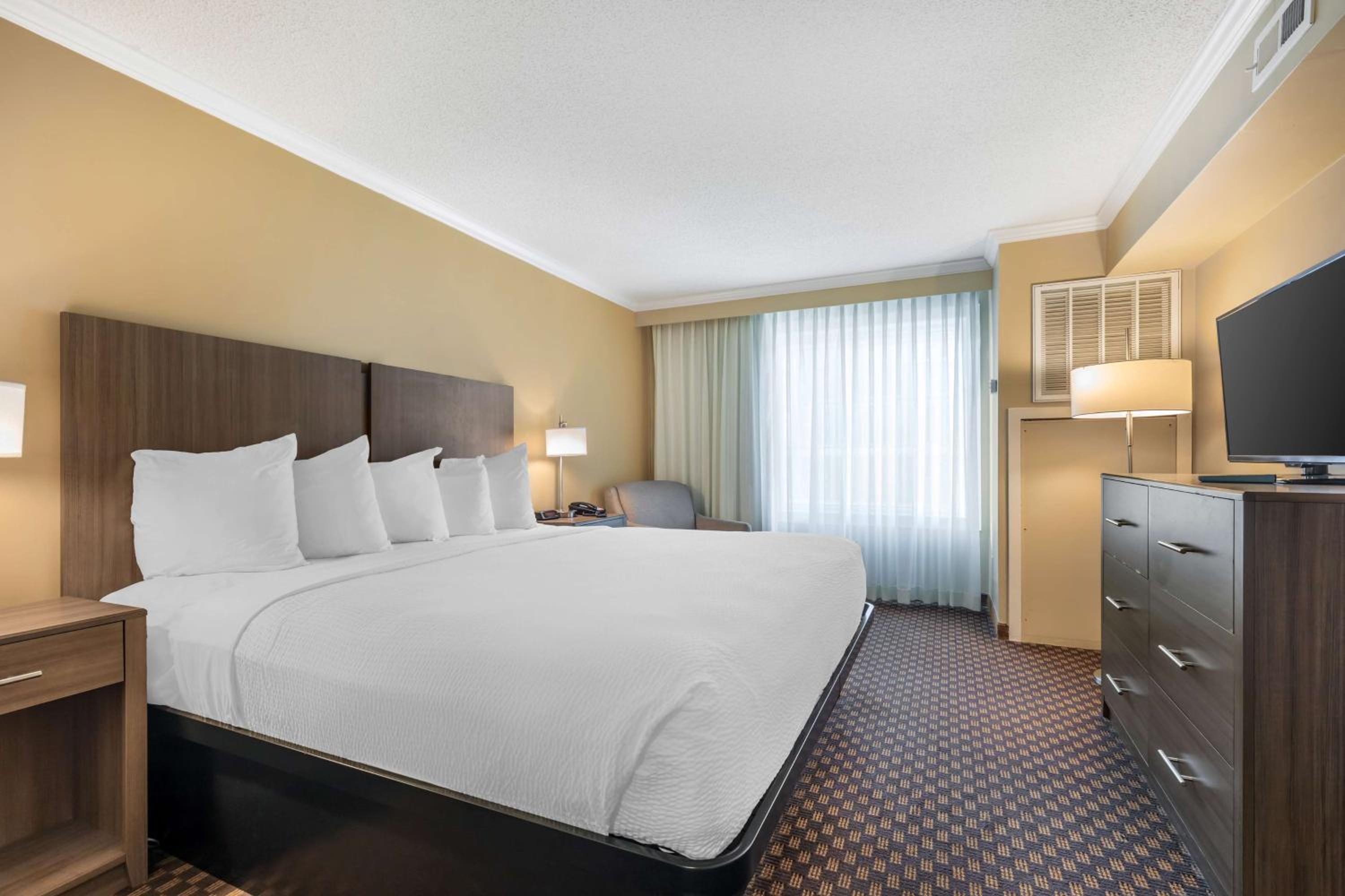 King Suite photo 2