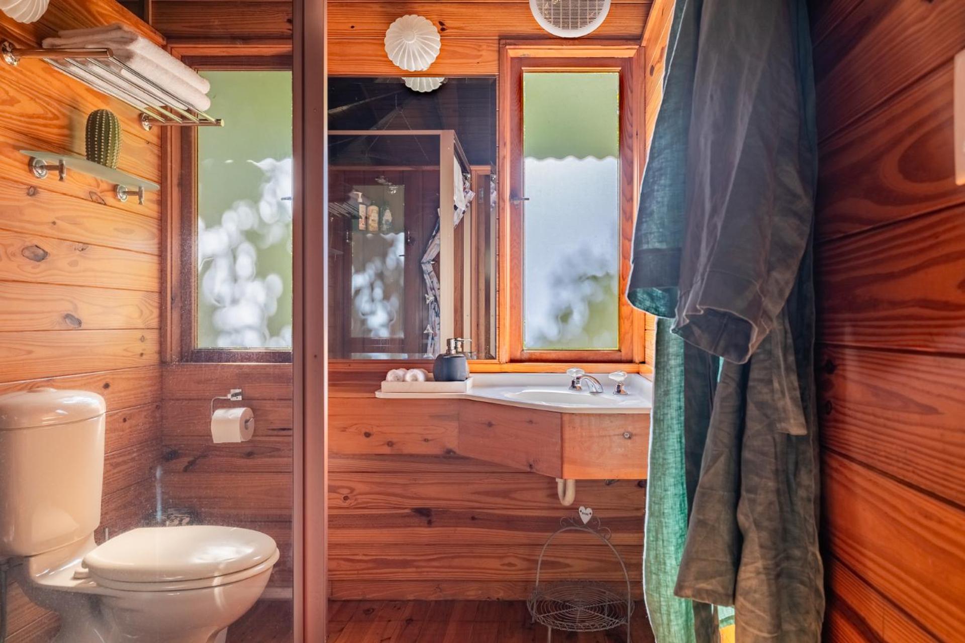 Treefern Cottage photo 3