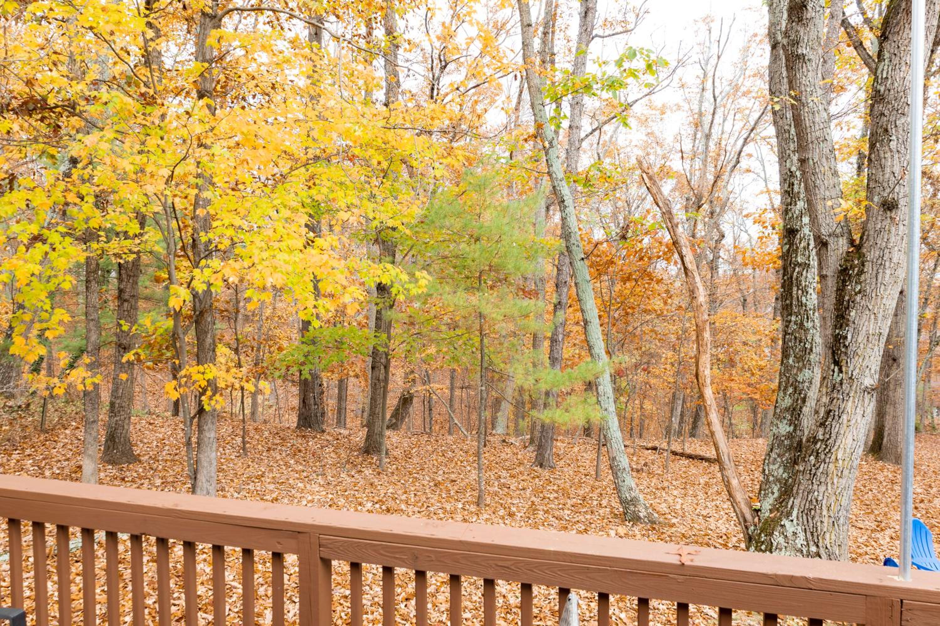 Vacation Home photo 3