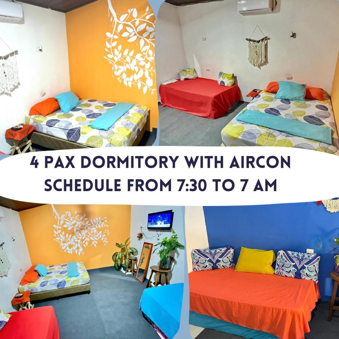 4-Bed Mixed Dormitory Room photo 1