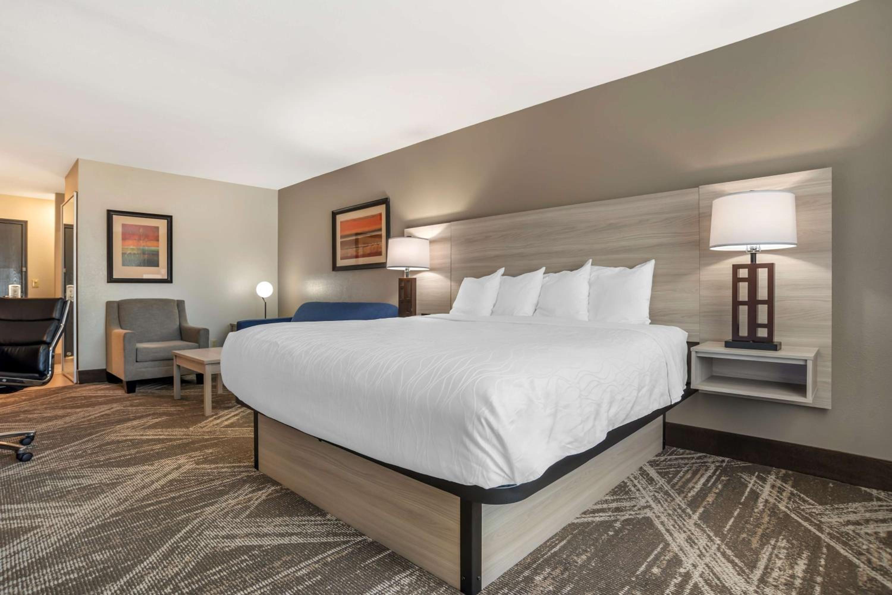 King Suite - Disability Access - Photo 2