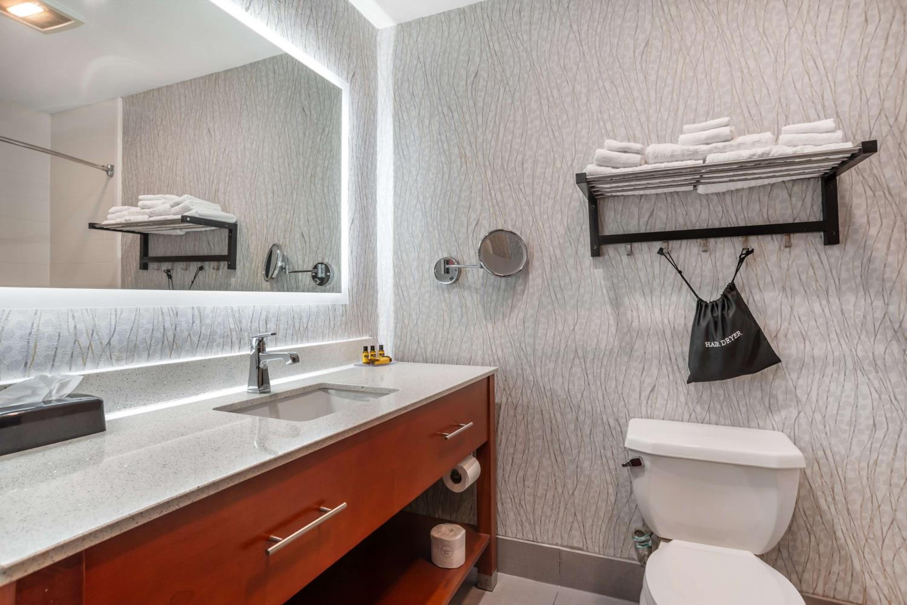 King Suite - Disability Access - Photo 4