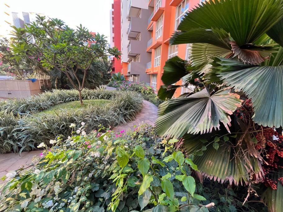 Apartment with Garden View photo 2
