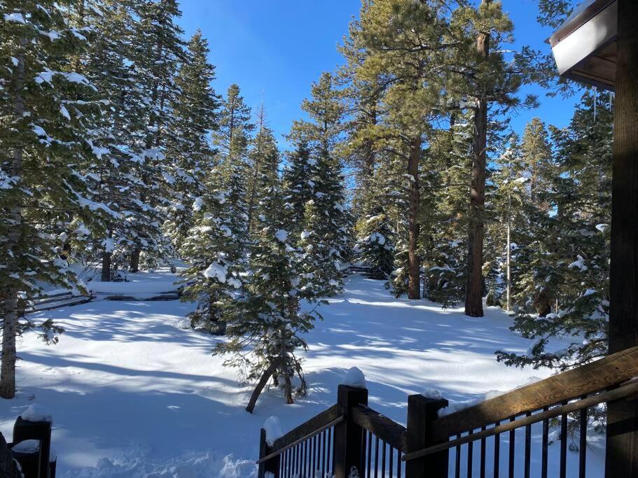 Vacation Home photo 2