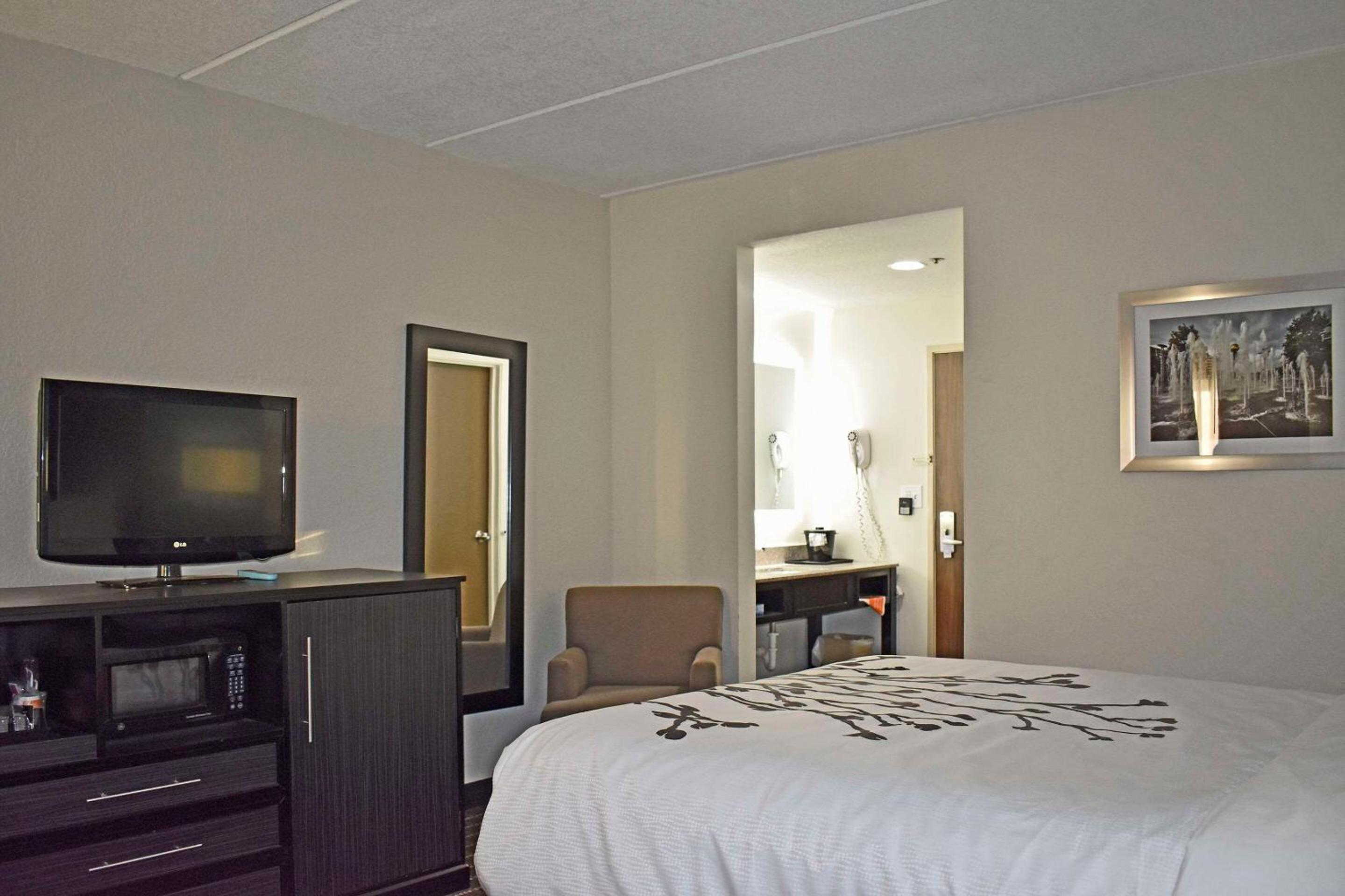 King Suite - Non-Smoking - Photo 3